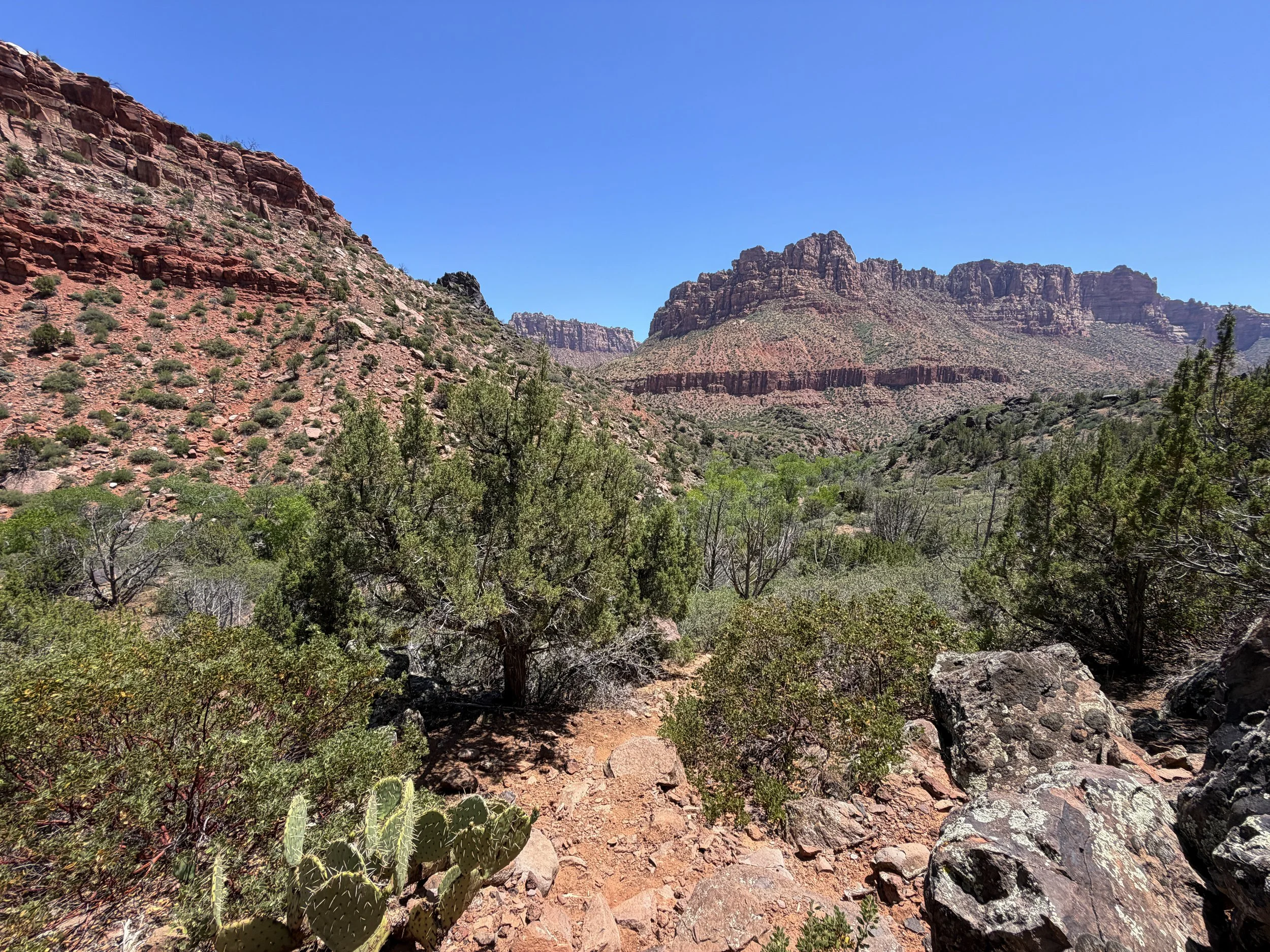 Grapevine Trail to Left Fork Falls Zion National Park Utah
