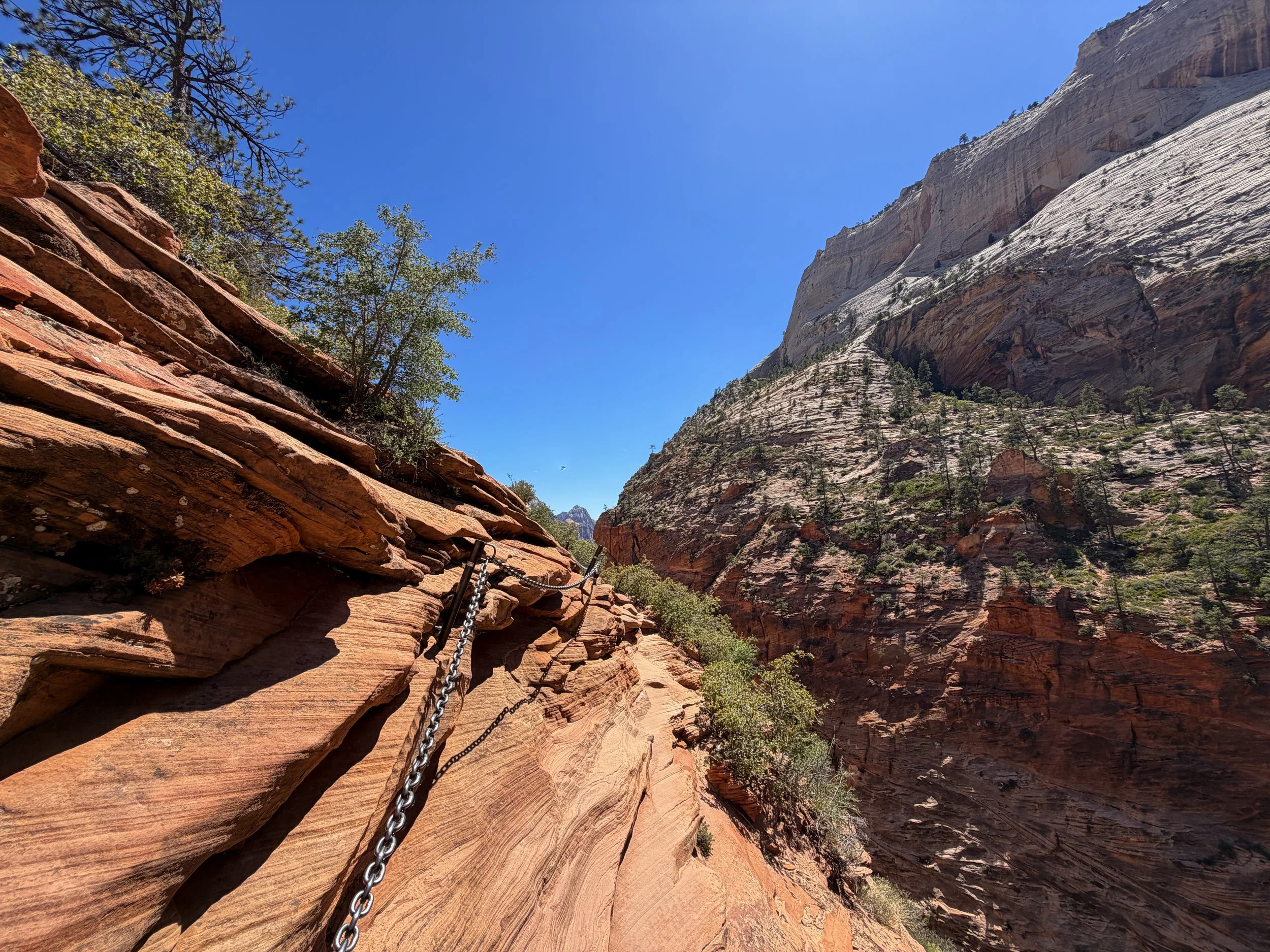 Angels Landing Trail Chains Zion National Park Utah