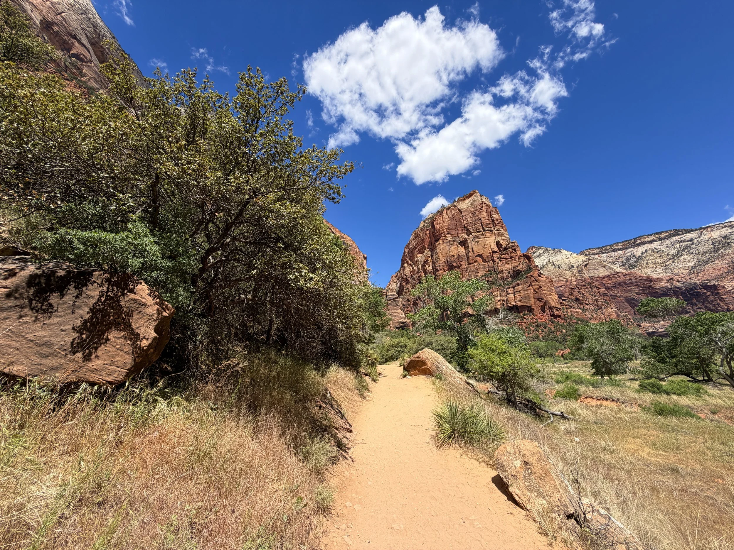 Angels Landing Trail Zion National Park Utah