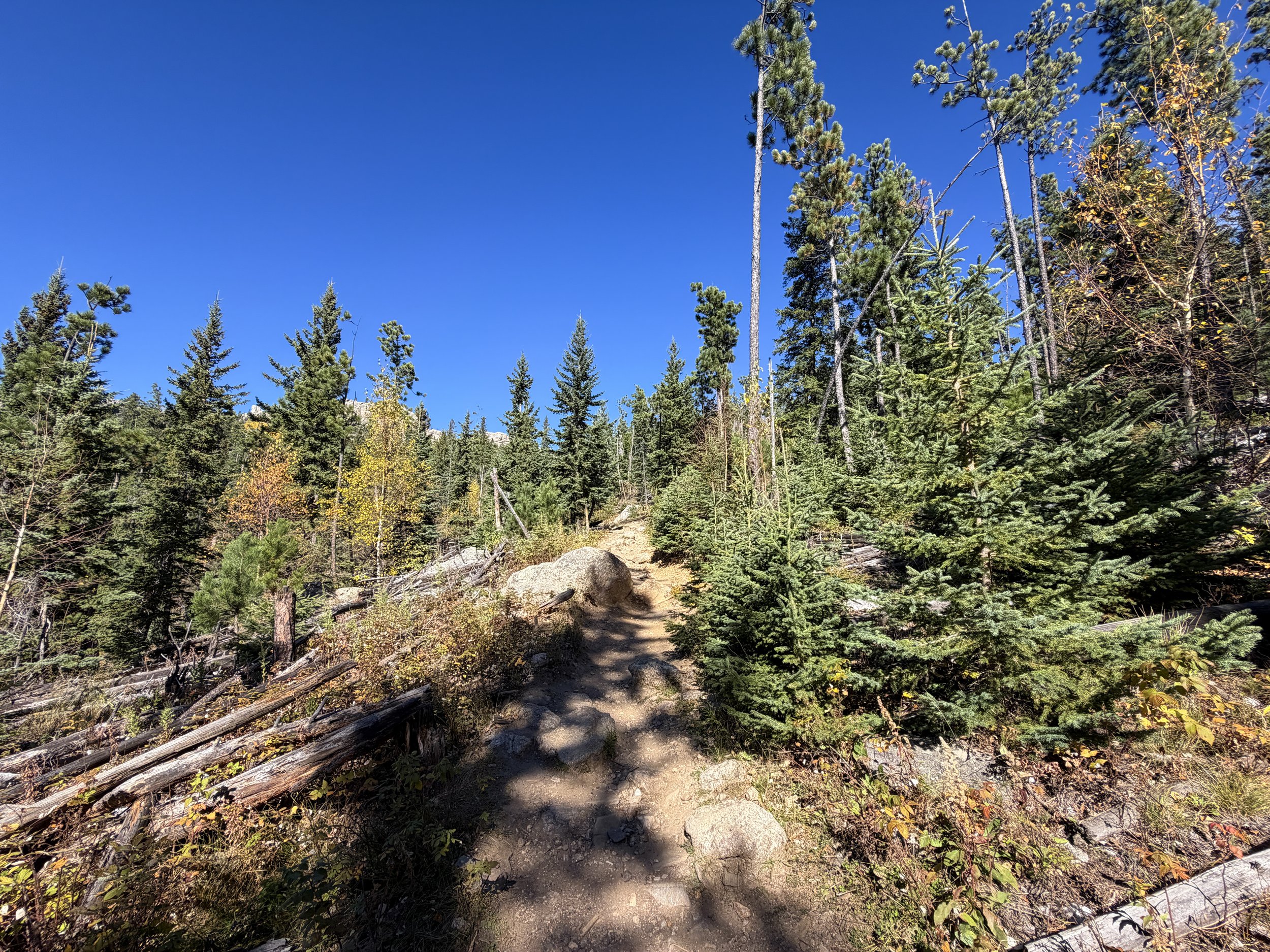 Black Elk Peak Trail via Custer State Park Black Hills South Dakota