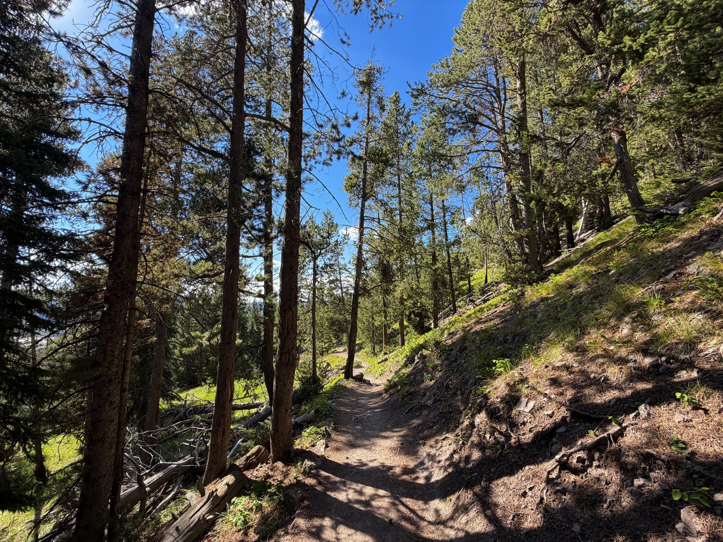 Observation Point Trail Yellowstone National Park Wyoming
