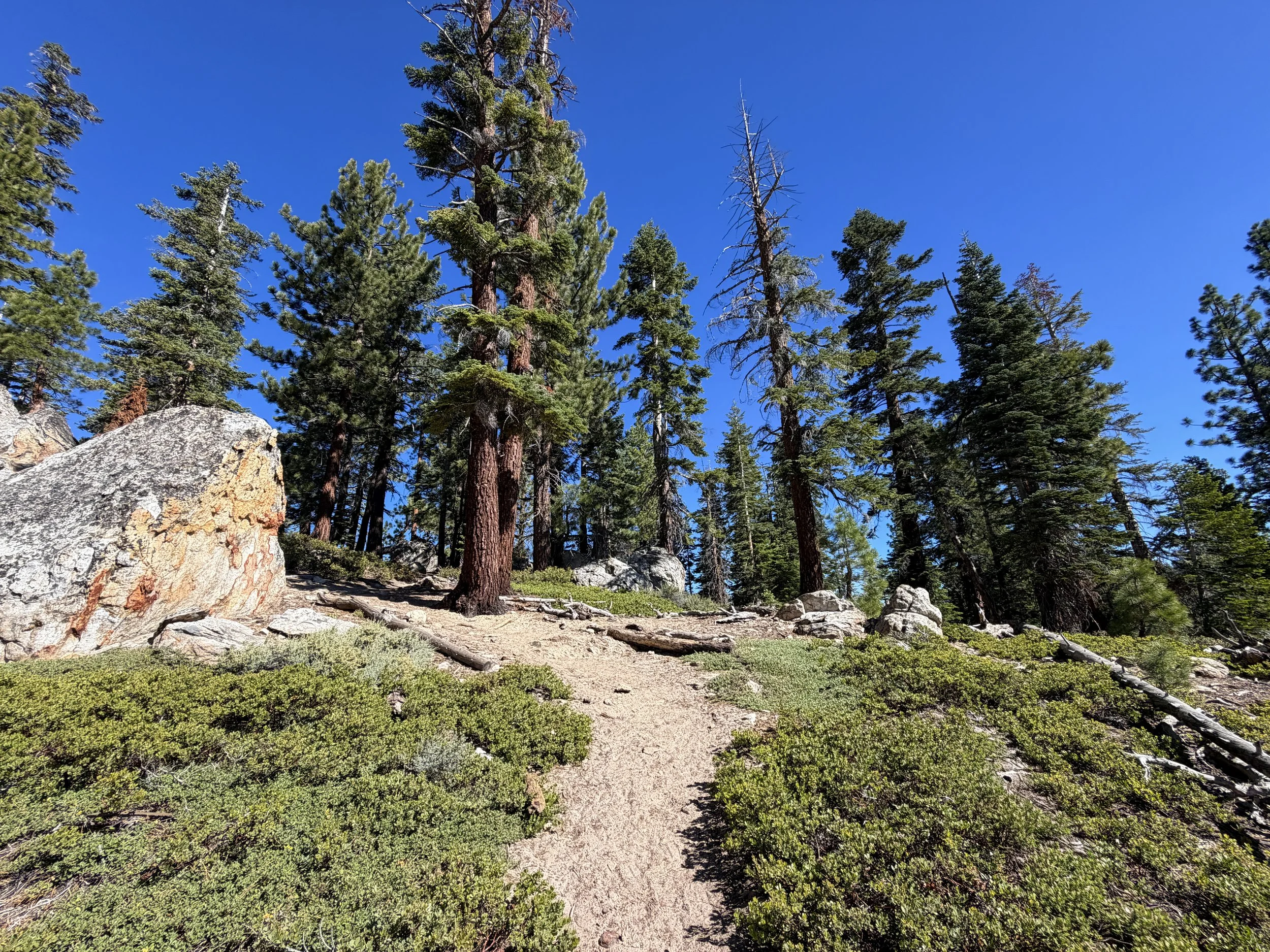 Castle Rock Trail Lake Tahoe Nevada