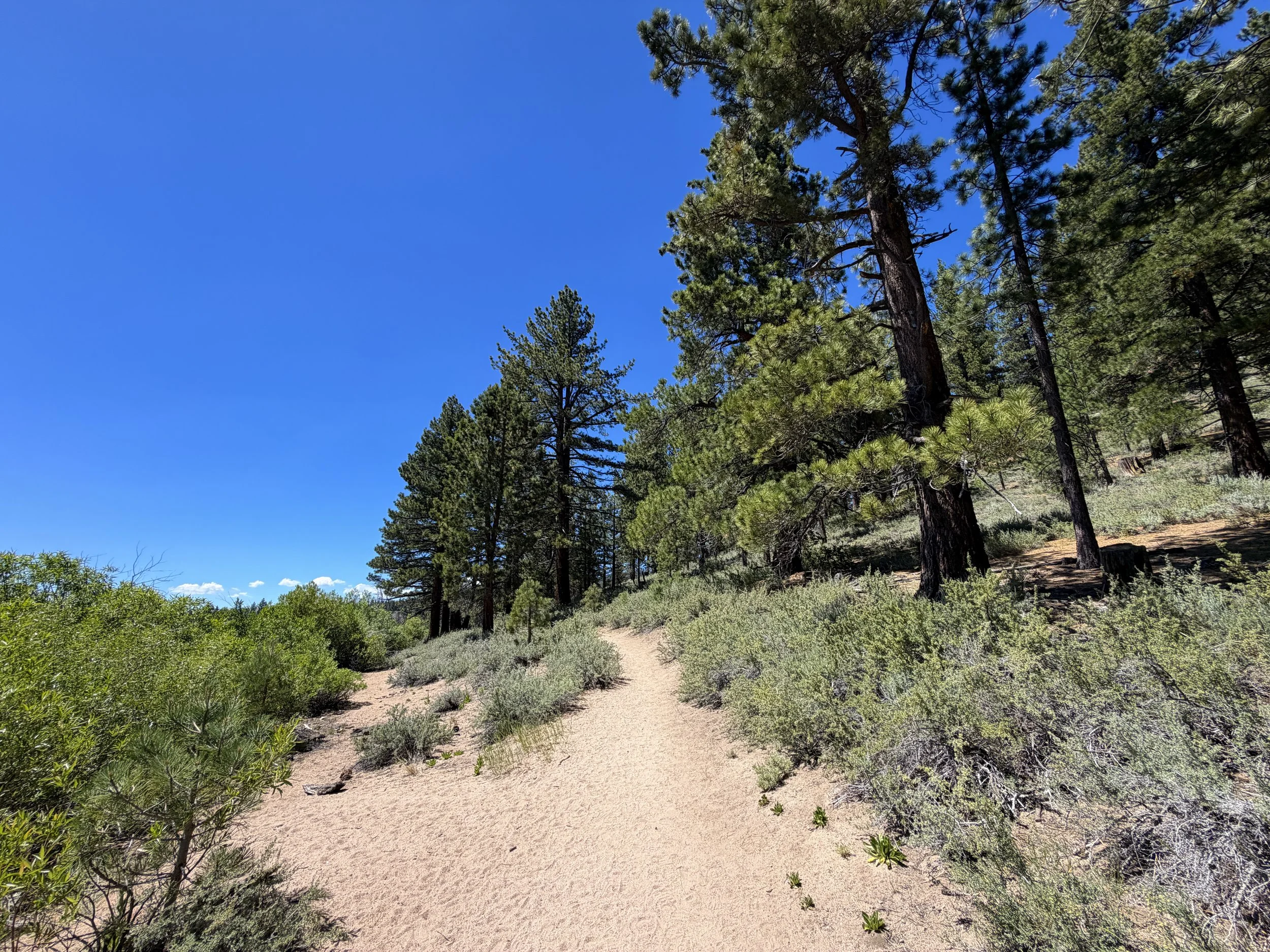 Spooner Lake Loop Hike Lake Tahoe Nevada