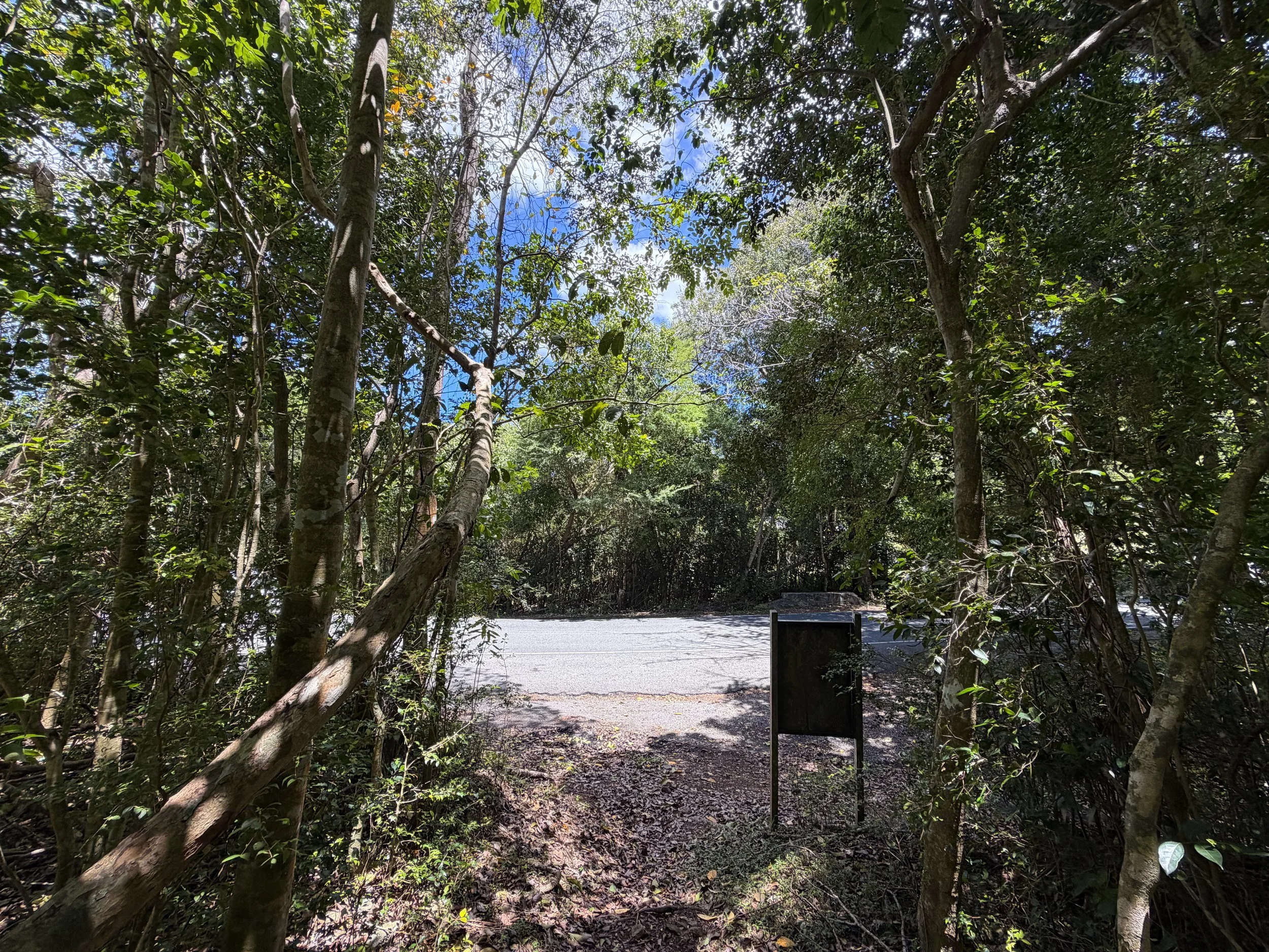 Caneel Hill Trailhead North Shore Road Virgin Islands National Park