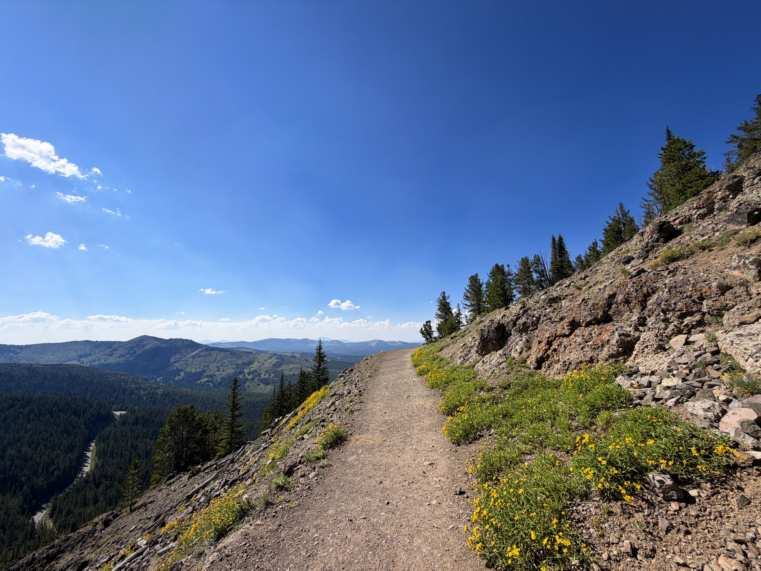 Mt. Washburn Hike via Dunraven Pass Yellowstone National Park Wyoming