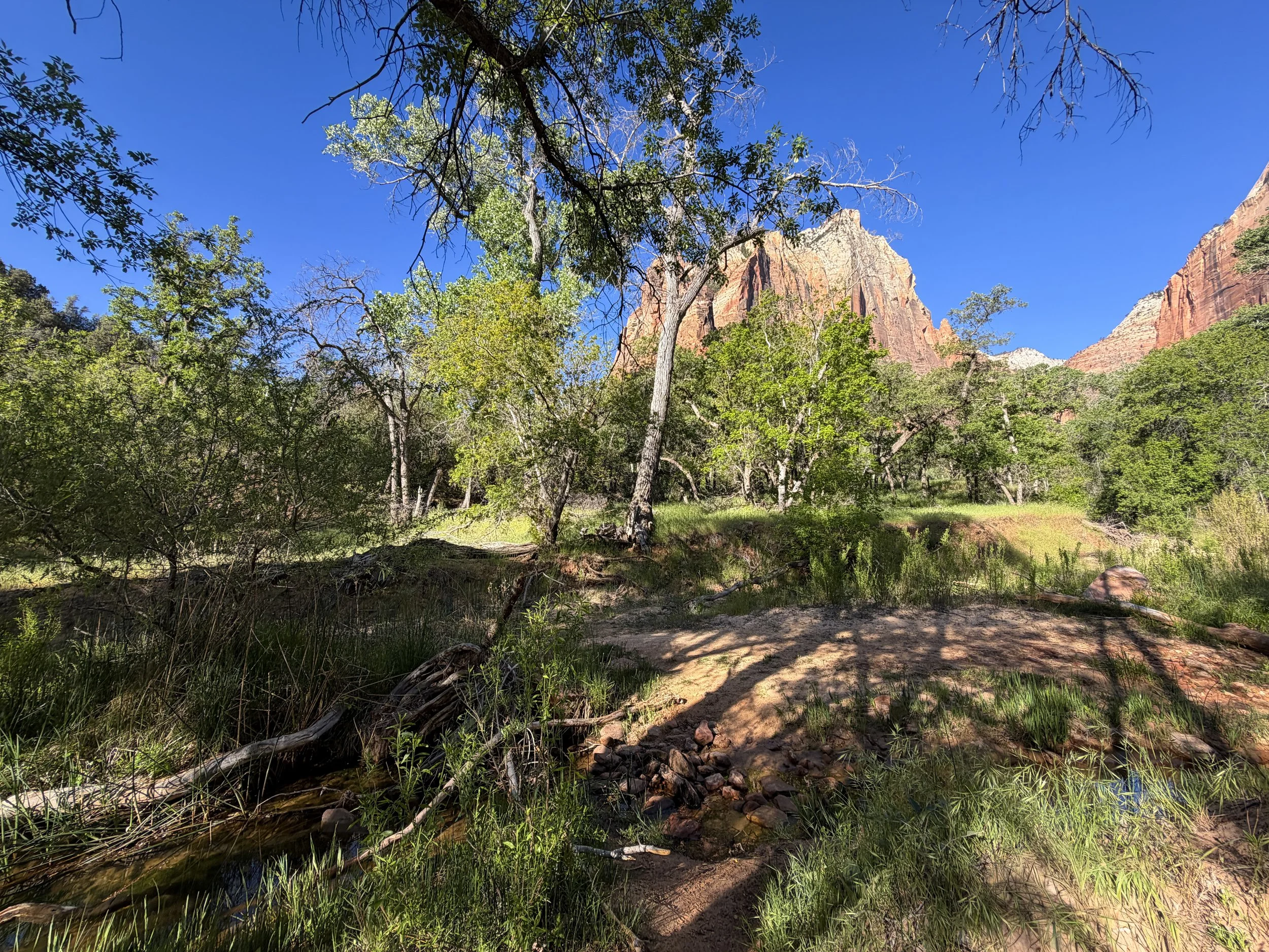 Sand Bench Trail Zion National Park Utah