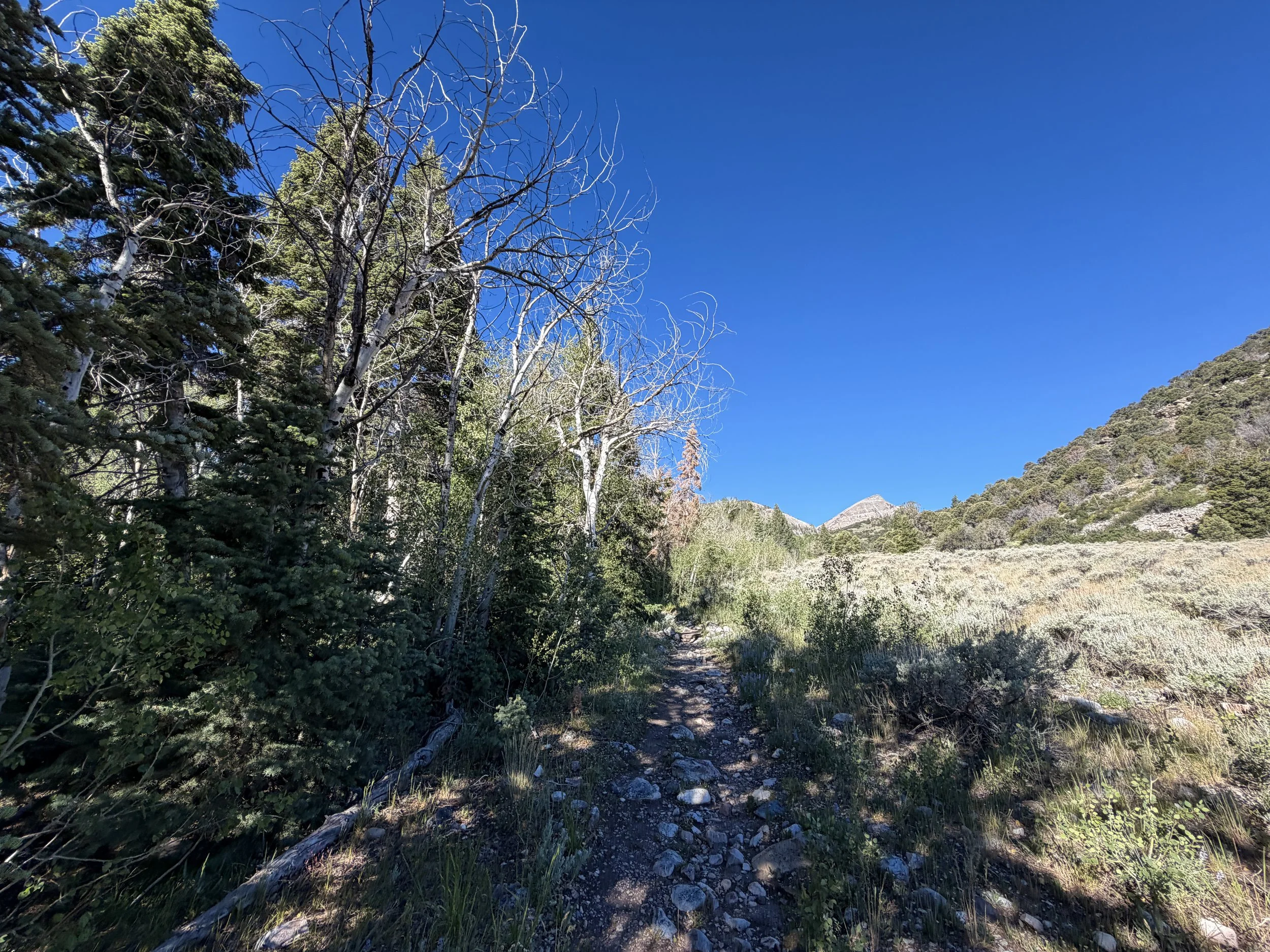 Baker Lake Trail Great Basin National Park Nevada