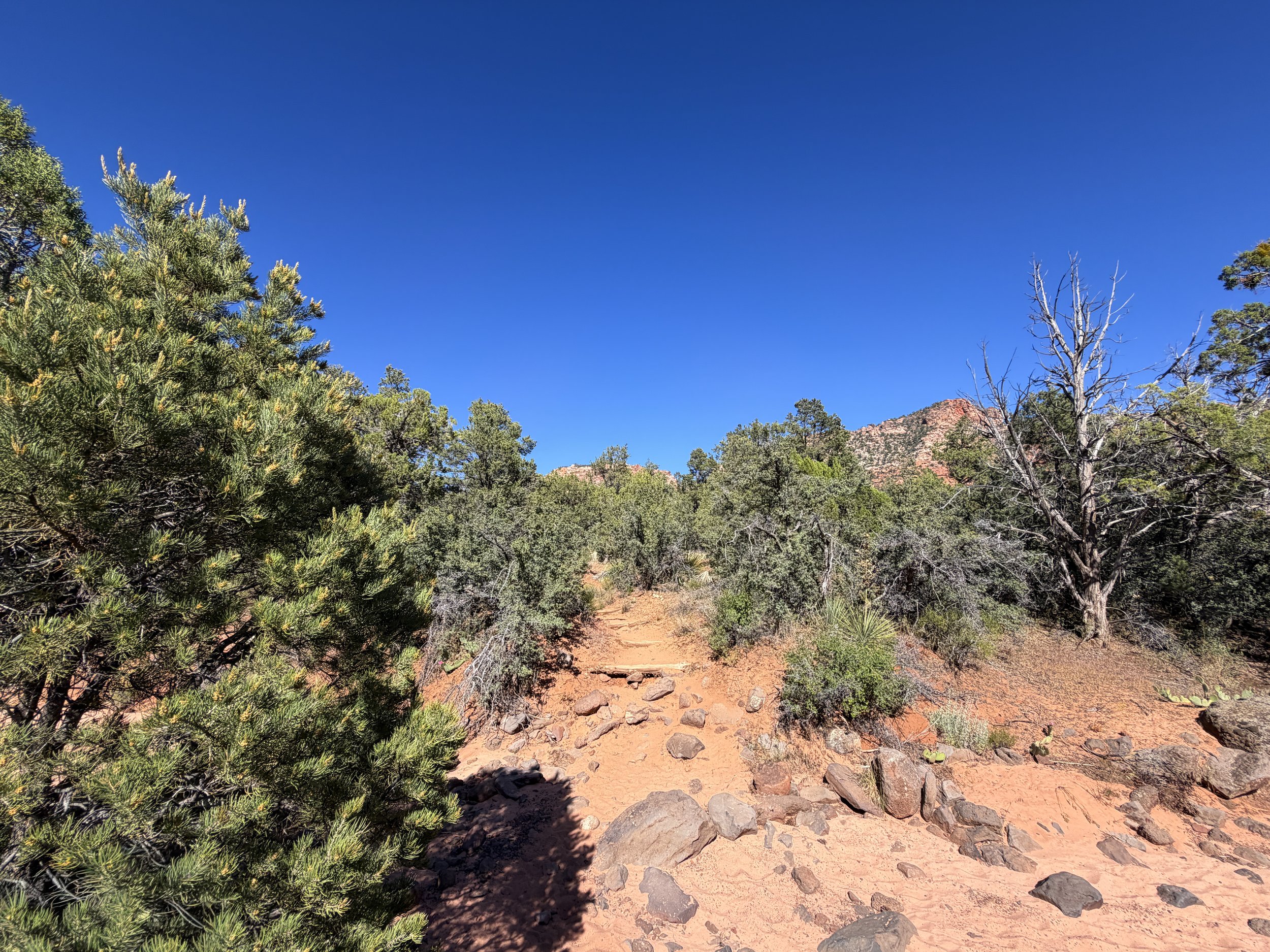 Subway Trail Zion National Park Utah