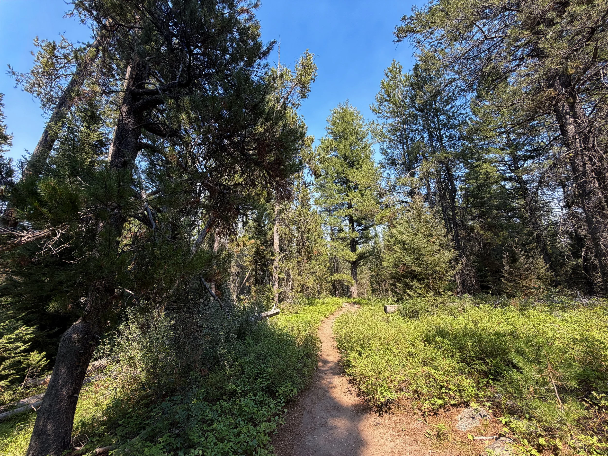 Phelps Lake Loop Trail Grand Teton National Park Wyoming