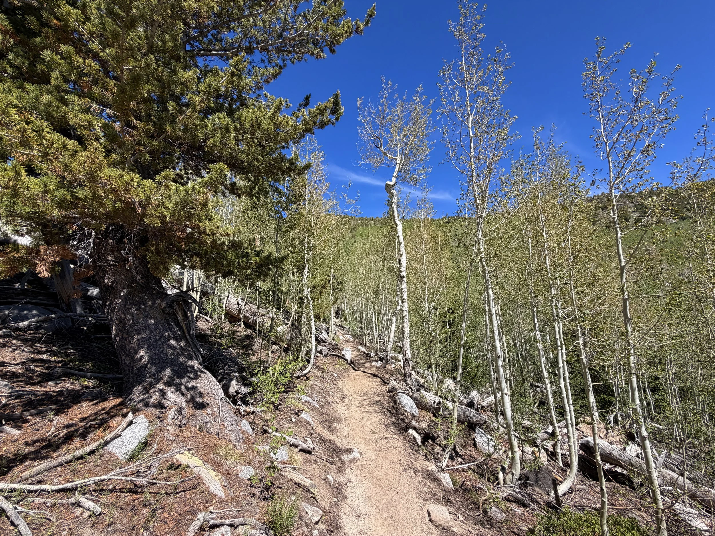 Dead Lake Trail Great Basin National Park Nevada