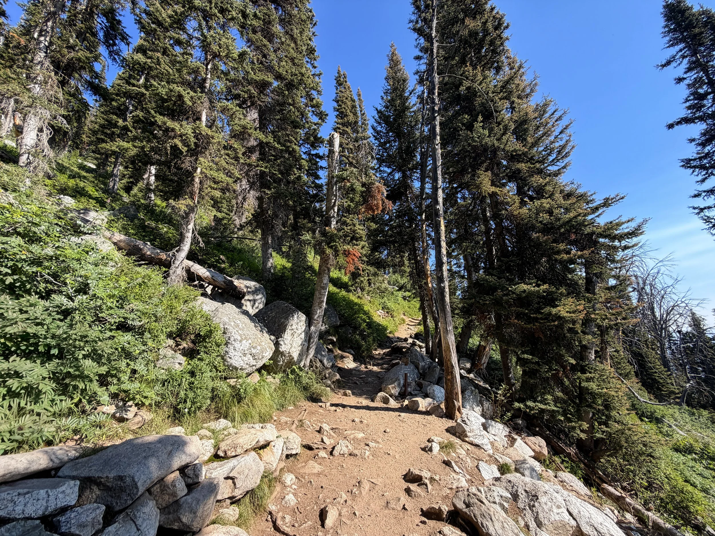 Delta Lake Trail via Lupine Meadows Grand Teton National Park Wyoming