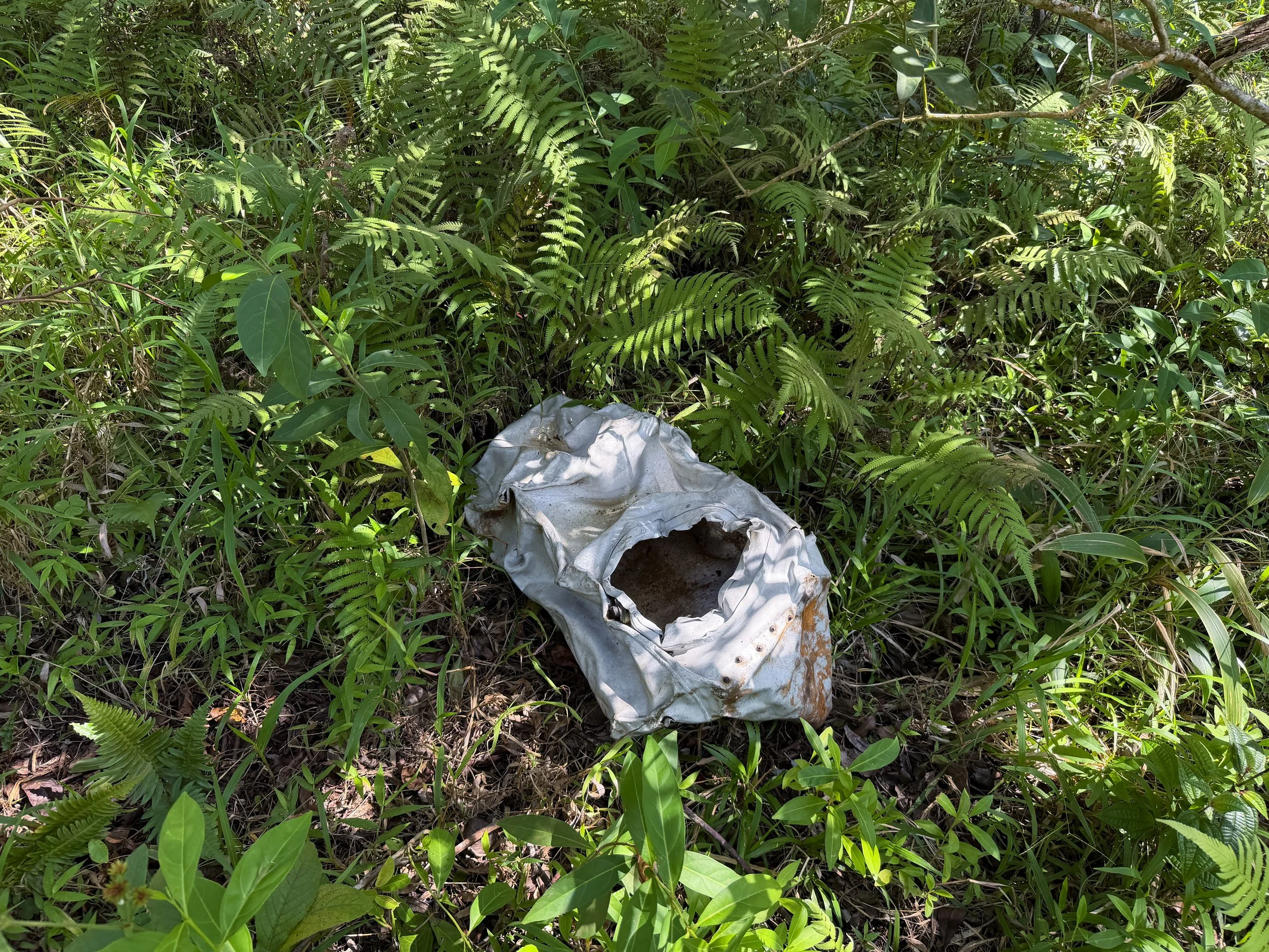 Kulanaahane Trail Oahu Hawaii