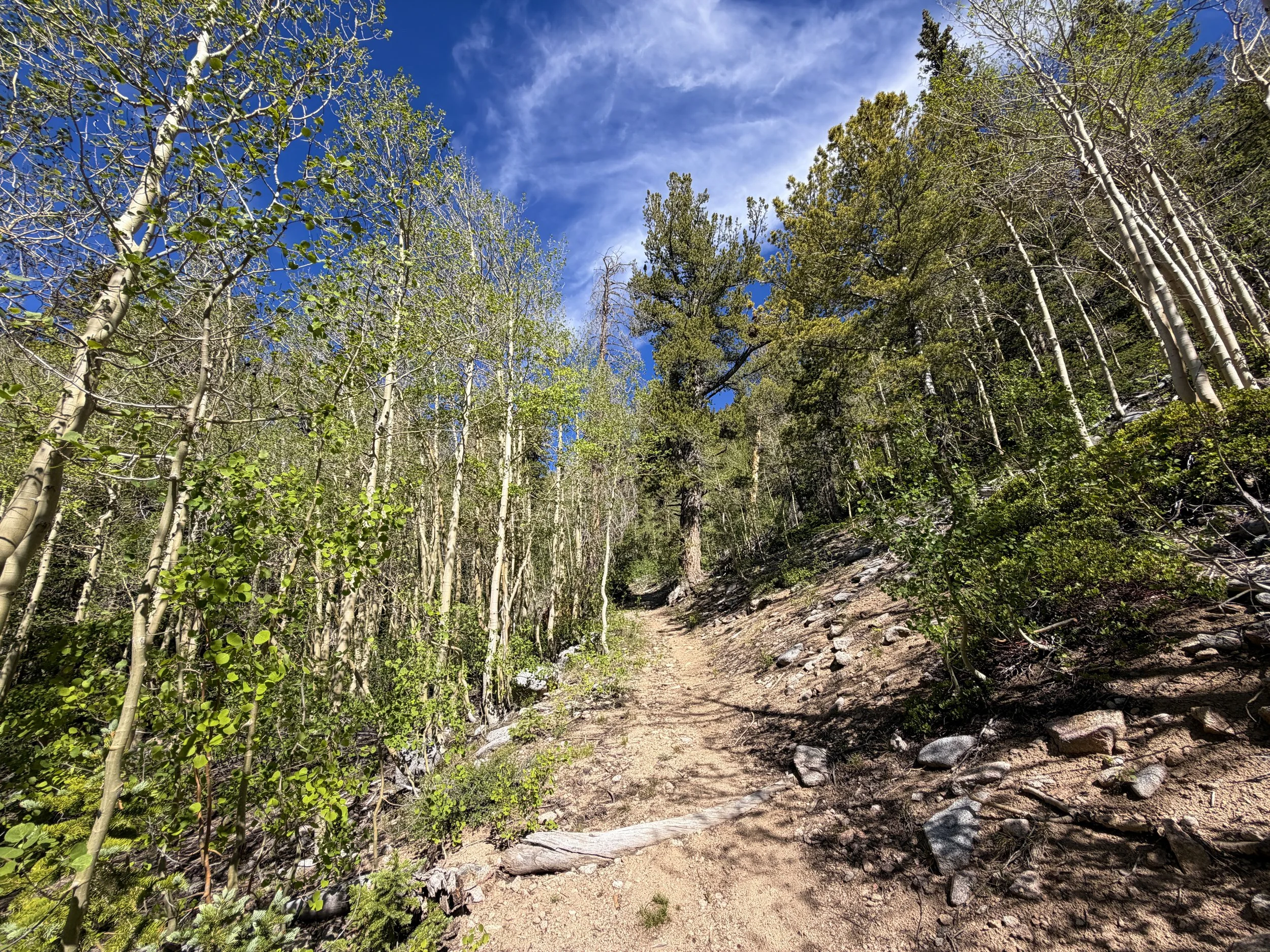 Johnson Lake Trail Great Basin National Park Nevada