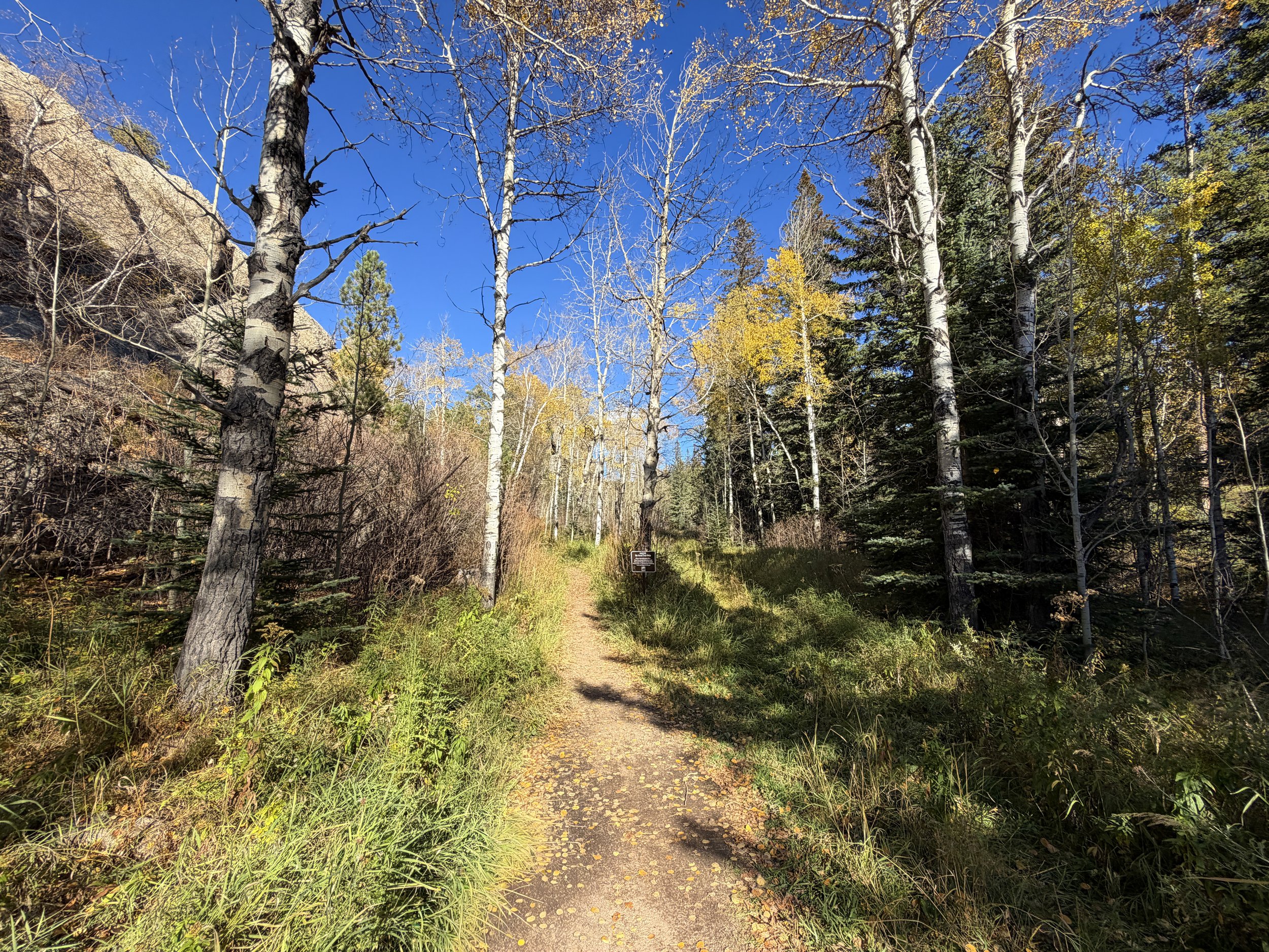 Little Devils Tower Trail Custer State Park Black Hills South Dakota