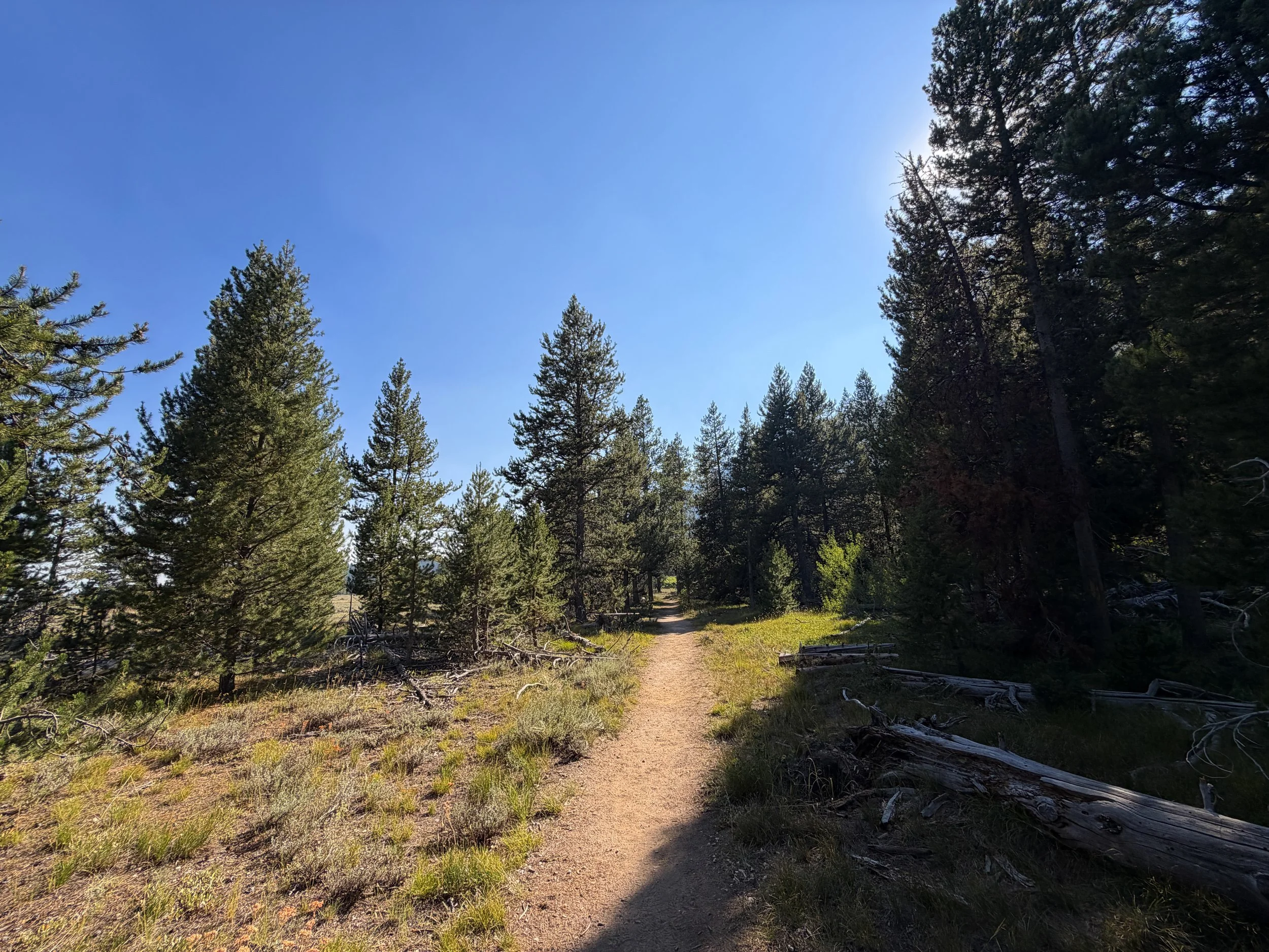Moose Ponds Loop Trail Grand Teton National Park Wyoming