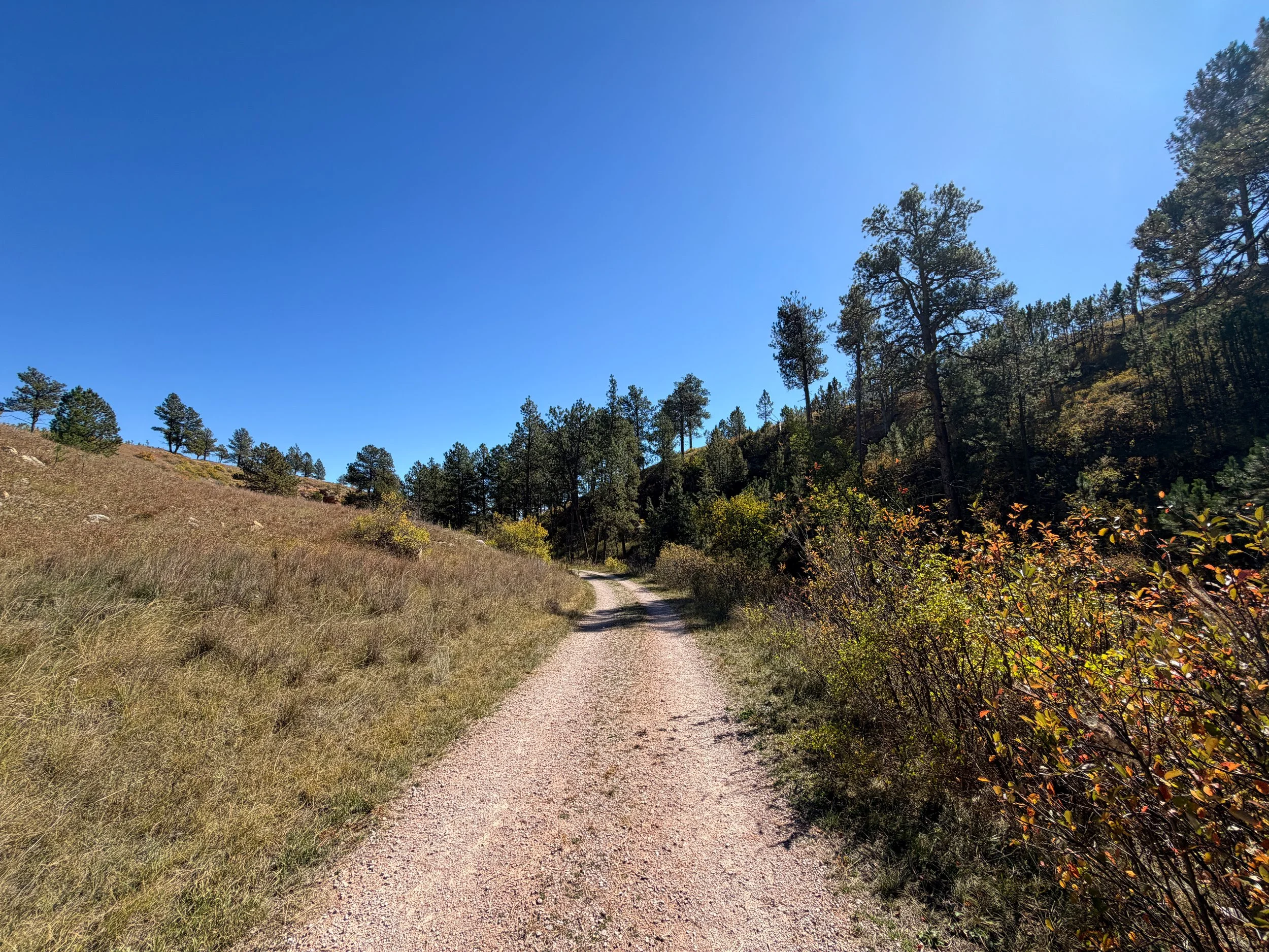 Wind Cave Canyon Trail Wind Cave National Park South Dakota