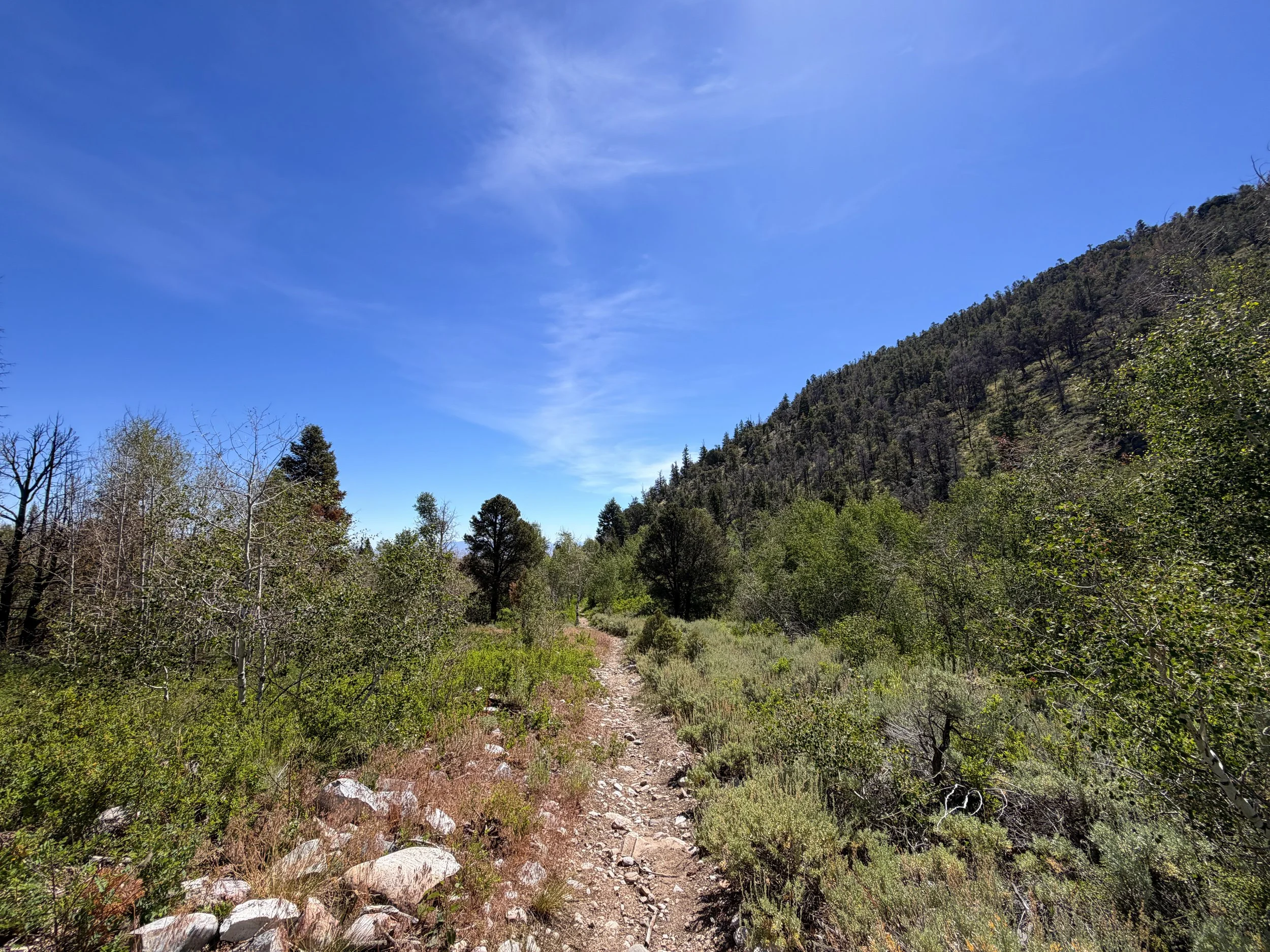 Pole Canyon Trail Great Basin National Park Nevada