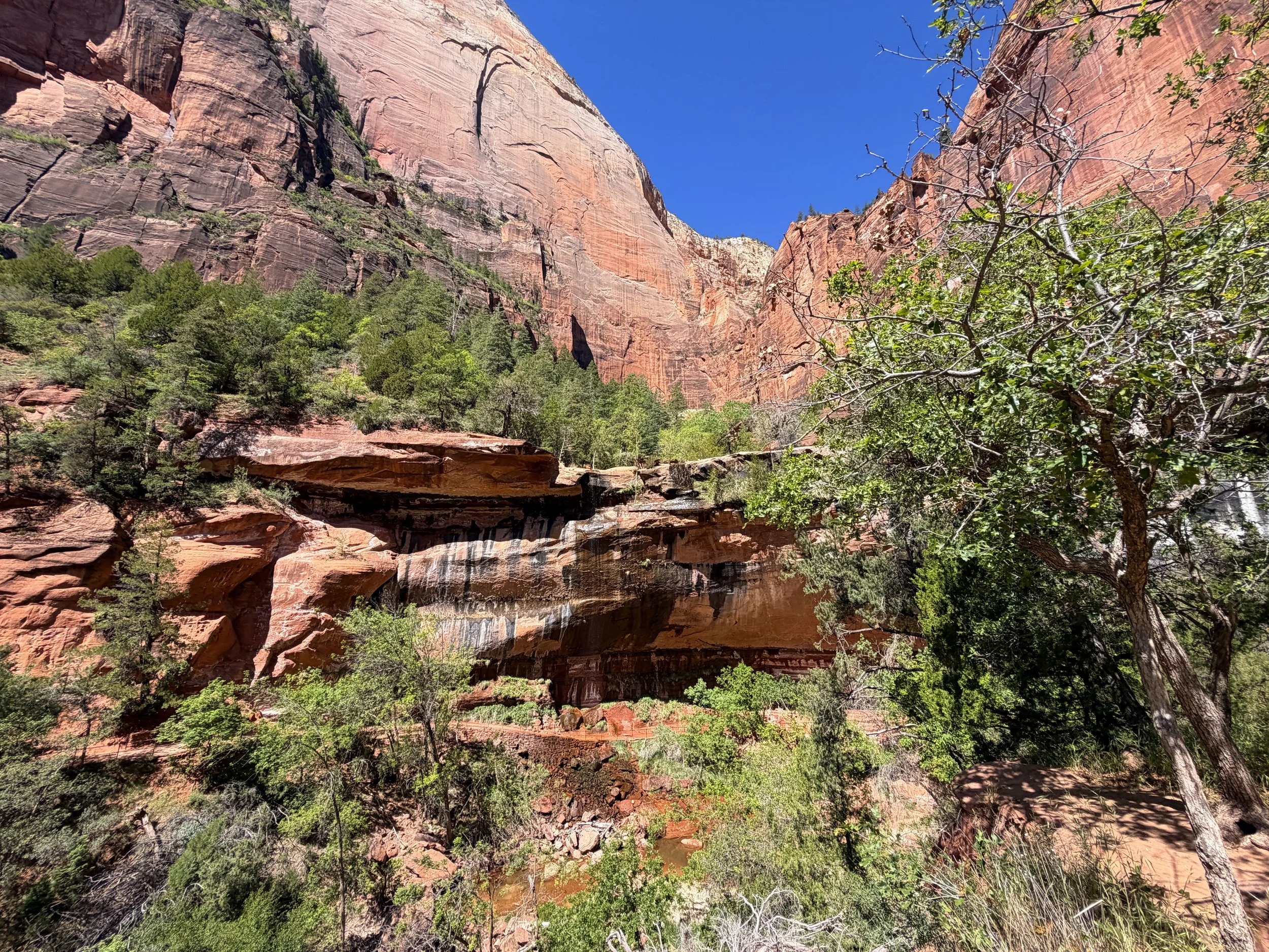 Emerald Pools Viewpoint Zion National Park Utah