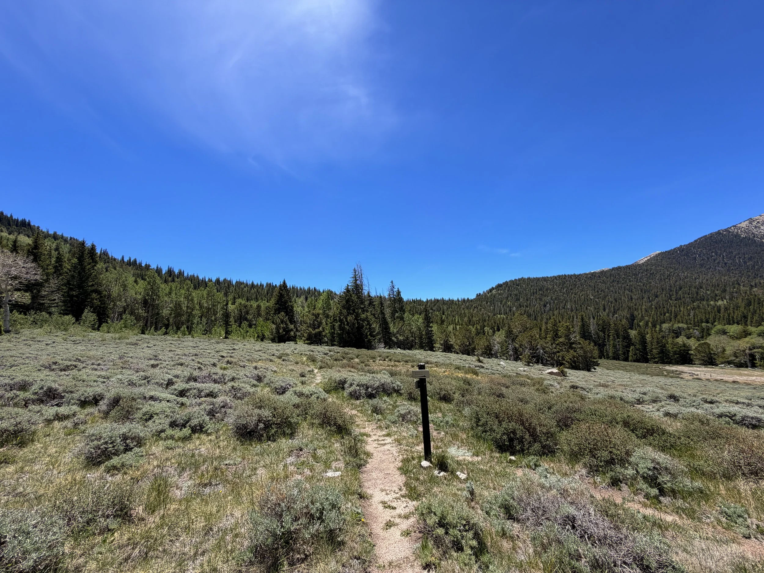 Timber Creek Loop Trail Great Basin National Park Nevada
