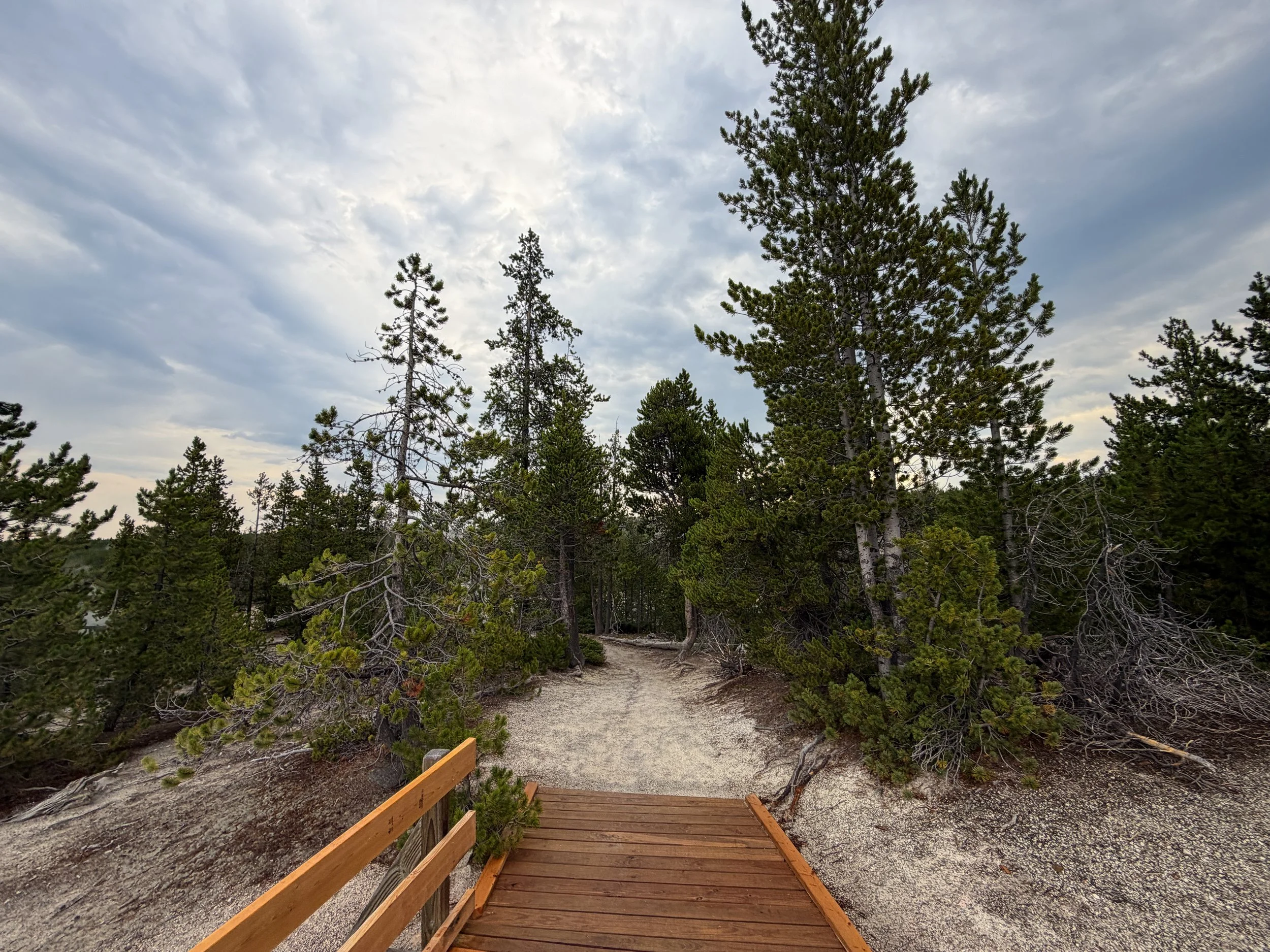 Back Basin Boardwalk Trail Yellowstone National Park Wyoming