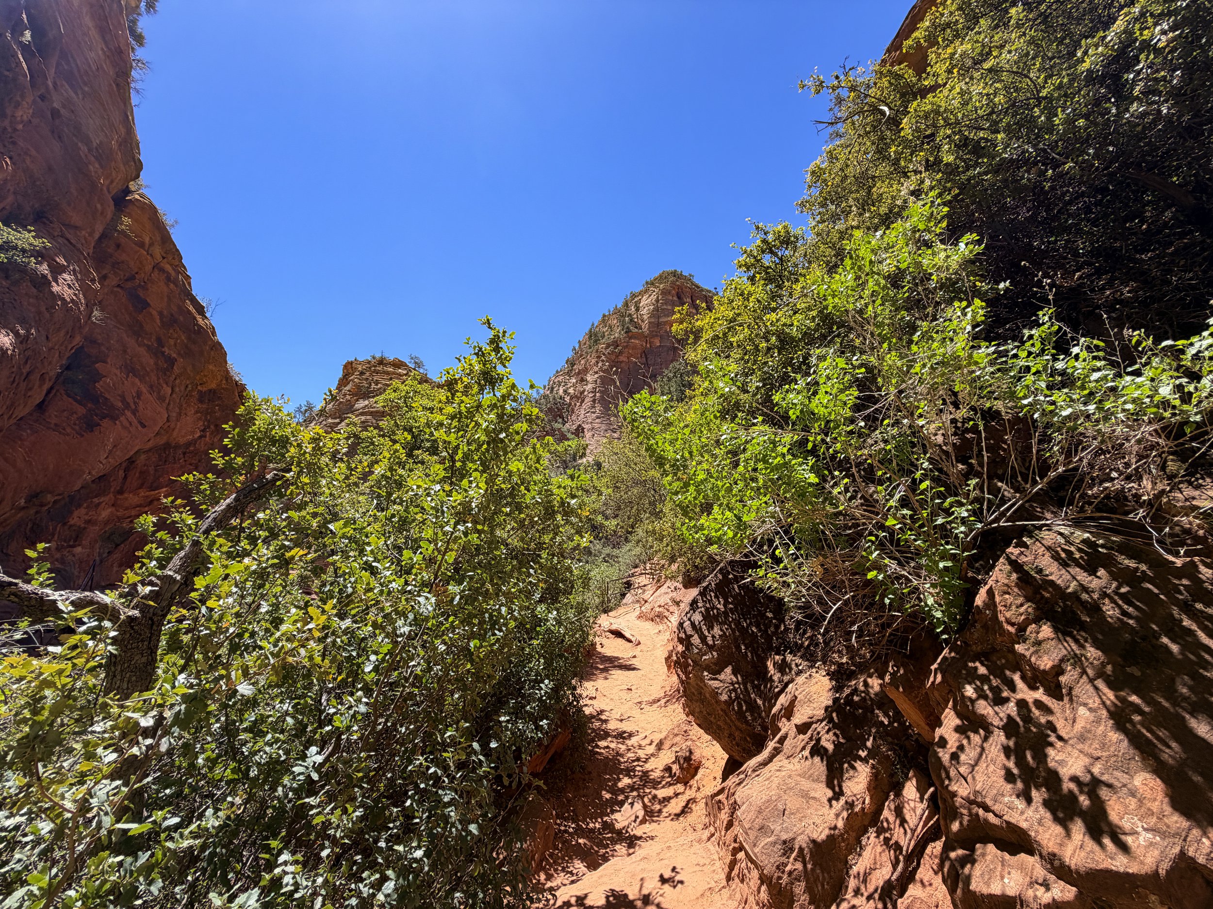 Canyon Overlook Hike Zion National Park Utah