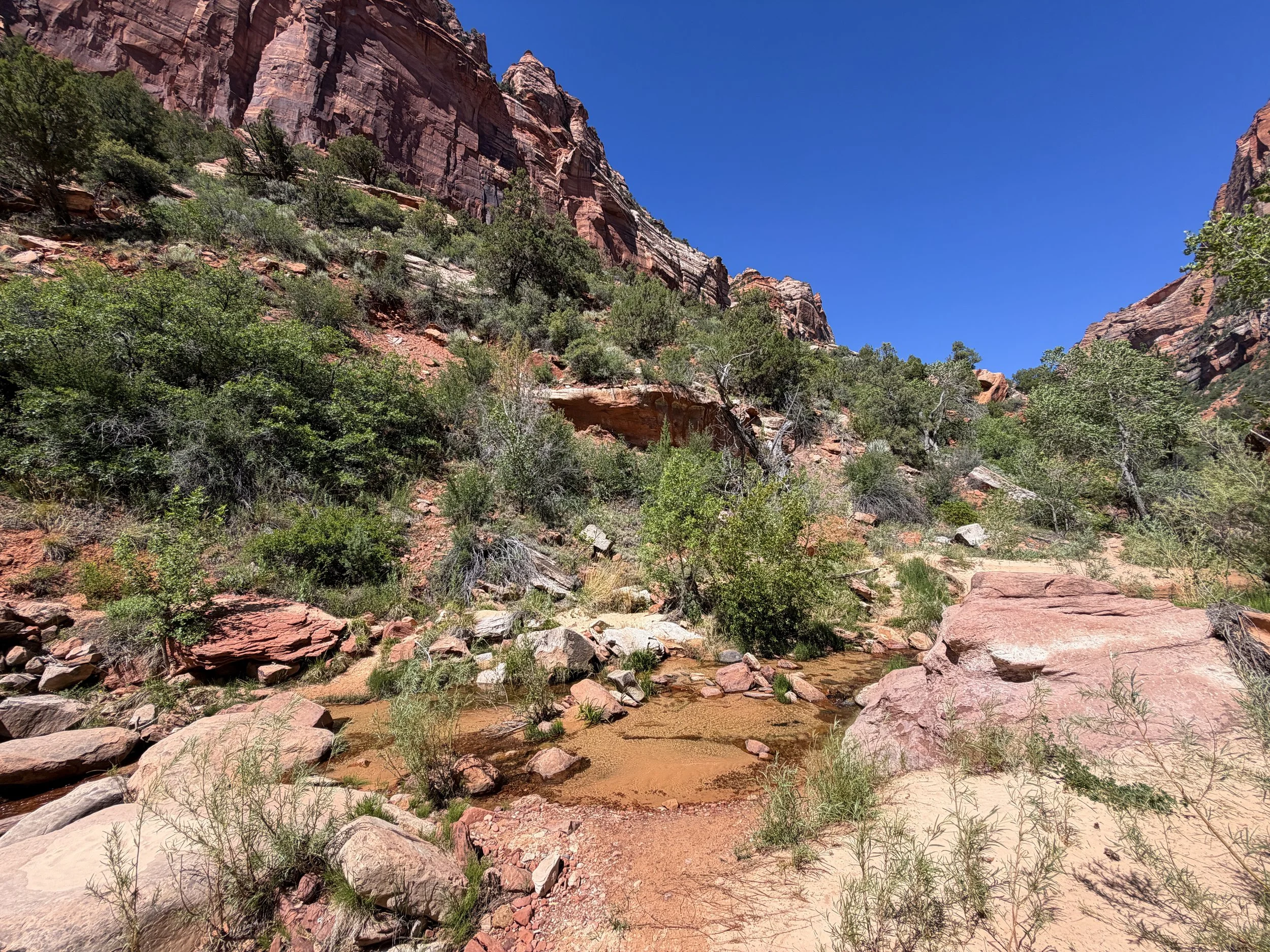 Subway Trail Left Fork North Creek Zion National Park Utah
