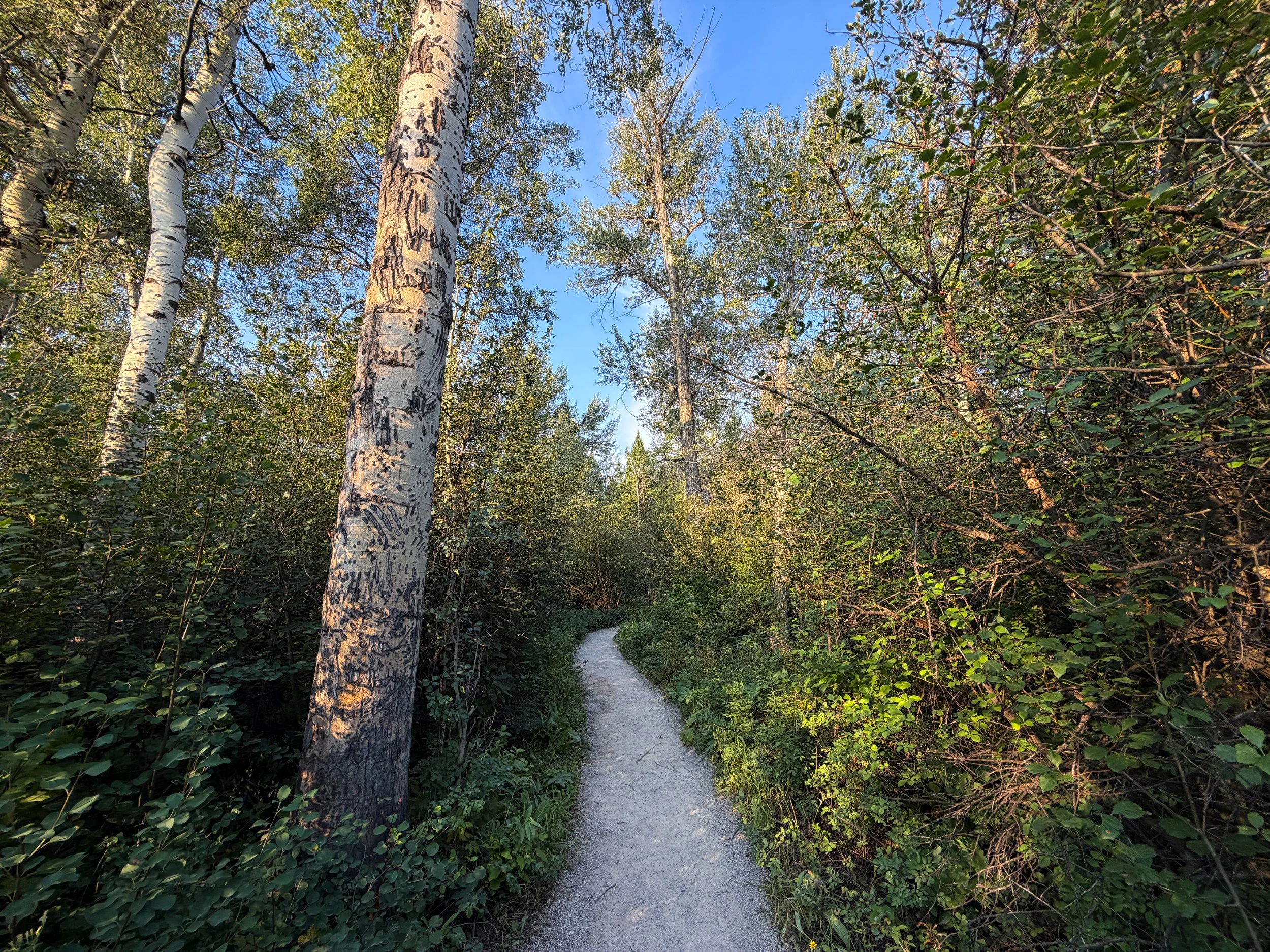Boulder Ridge Trail Grand Teton National Park Wyoming