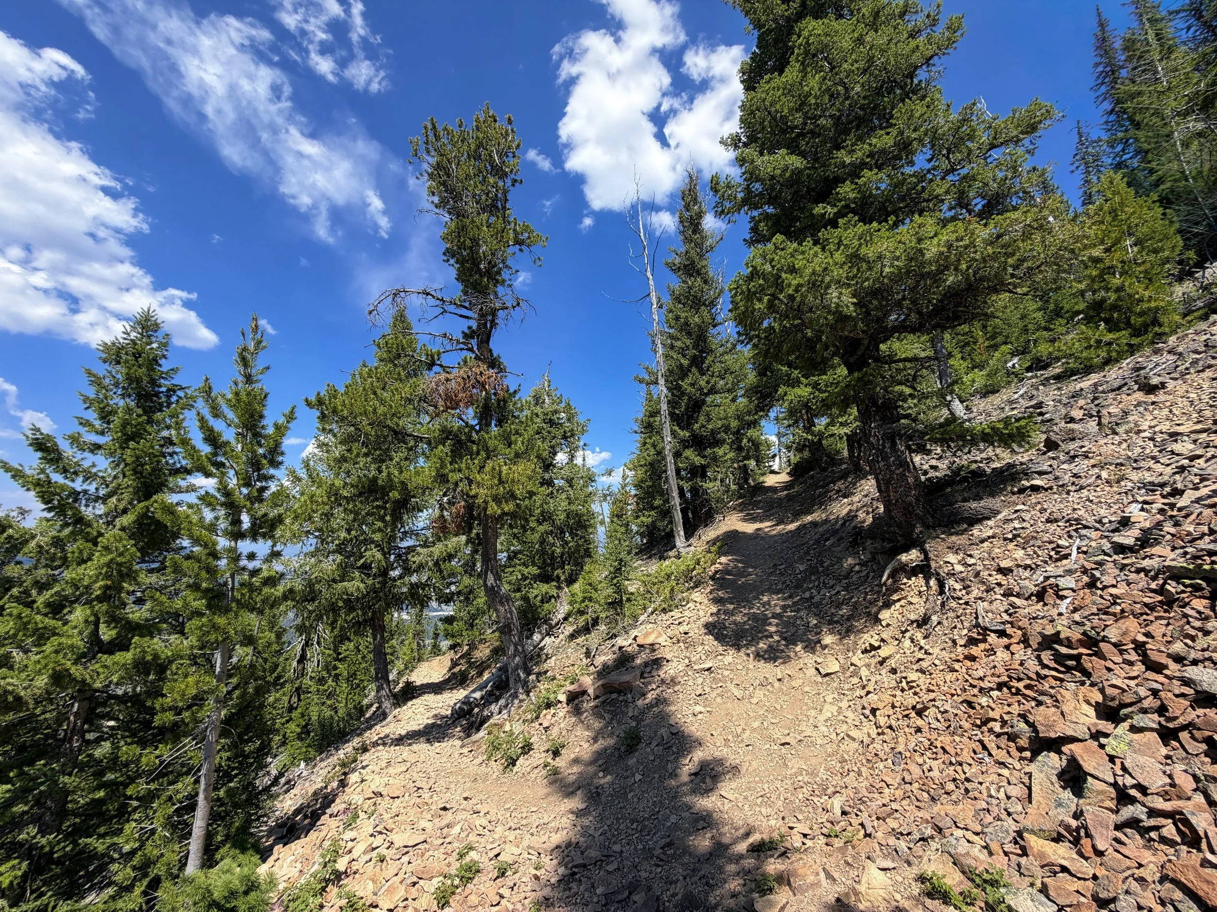 Bunsen Peak Trail Yellowstone National Park Wyoming