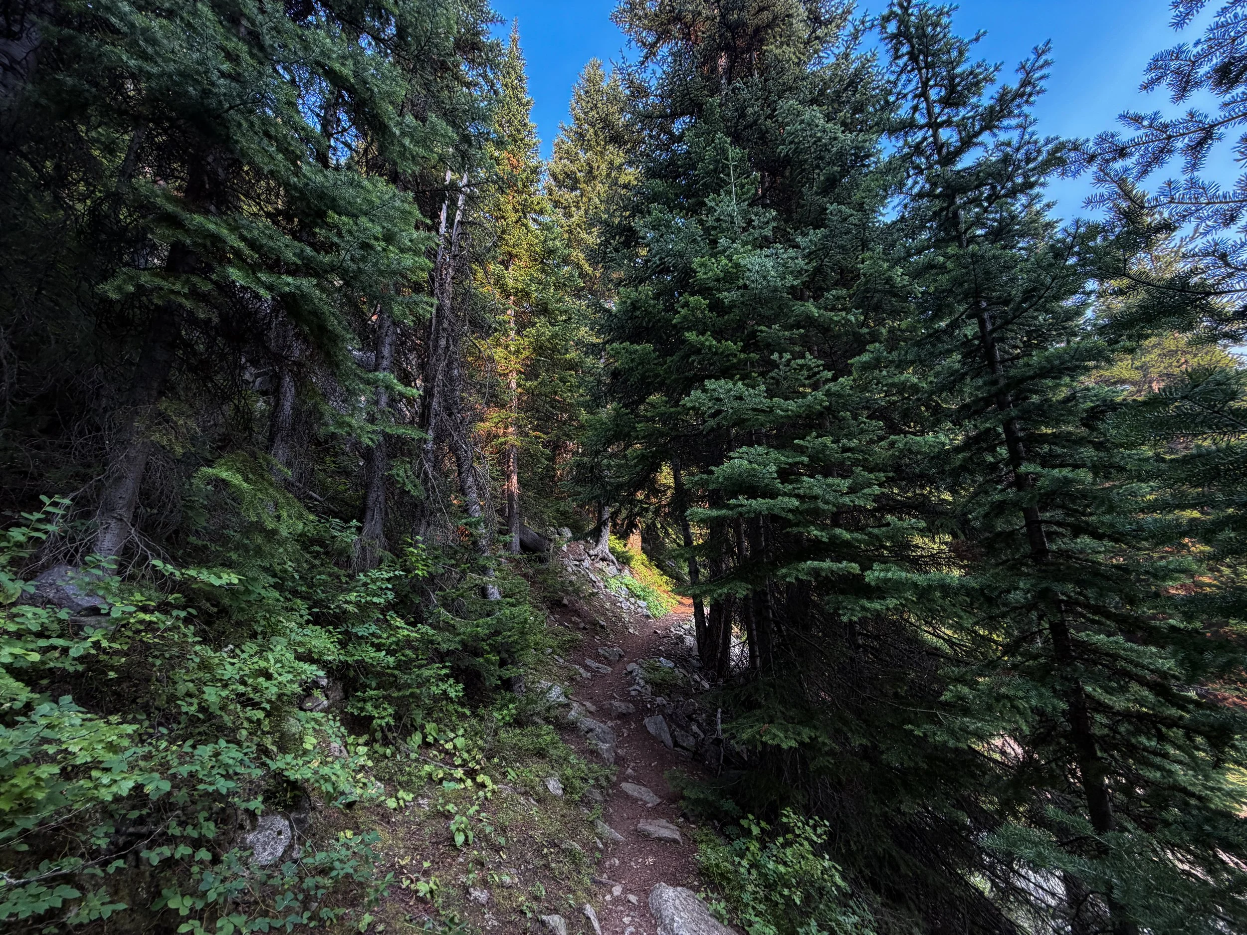 East Rosebud Trail Beaten Path Beartooth Mountains Montana