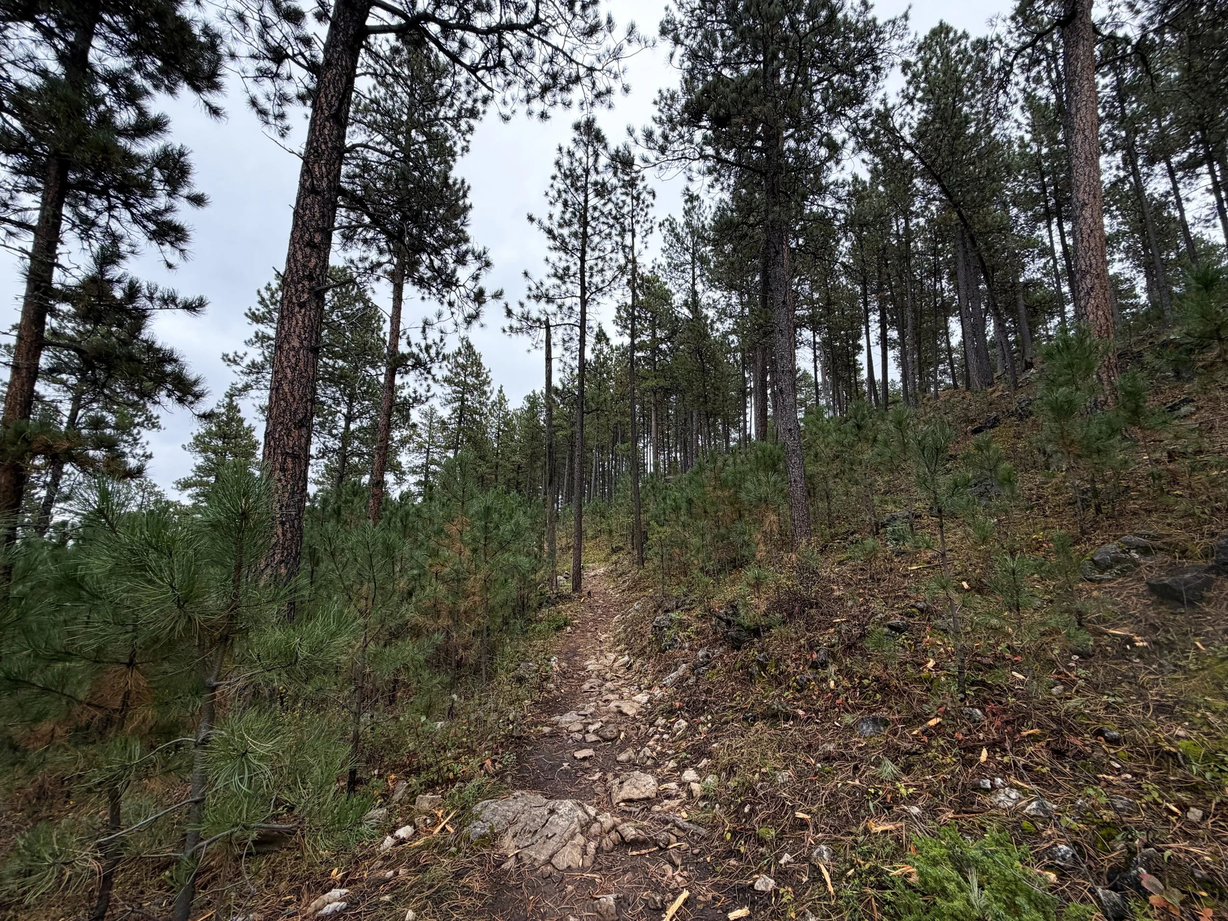 Buzzards Roost Hike Black Hills South Dakota