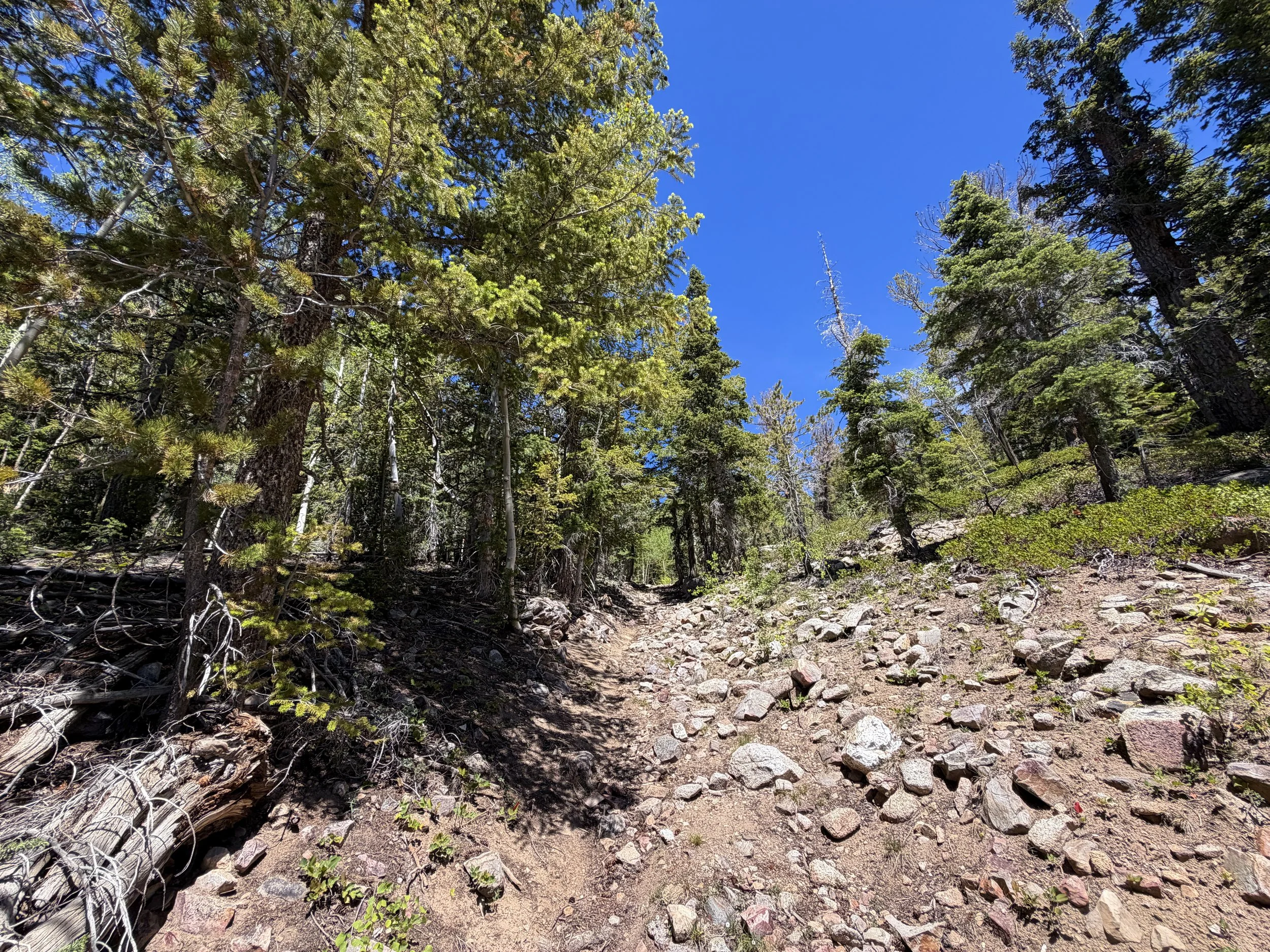 Dead Lake Hike Great Basin National Park Nevada