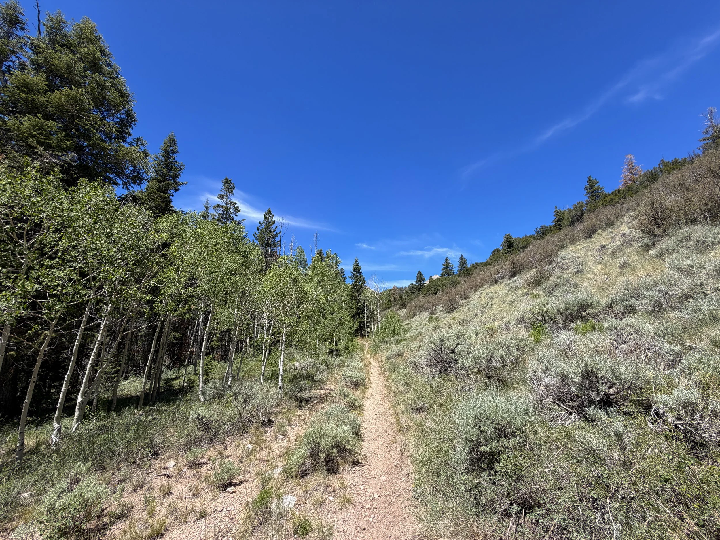 Dead Lake Trail Great Basin National Park Nevada