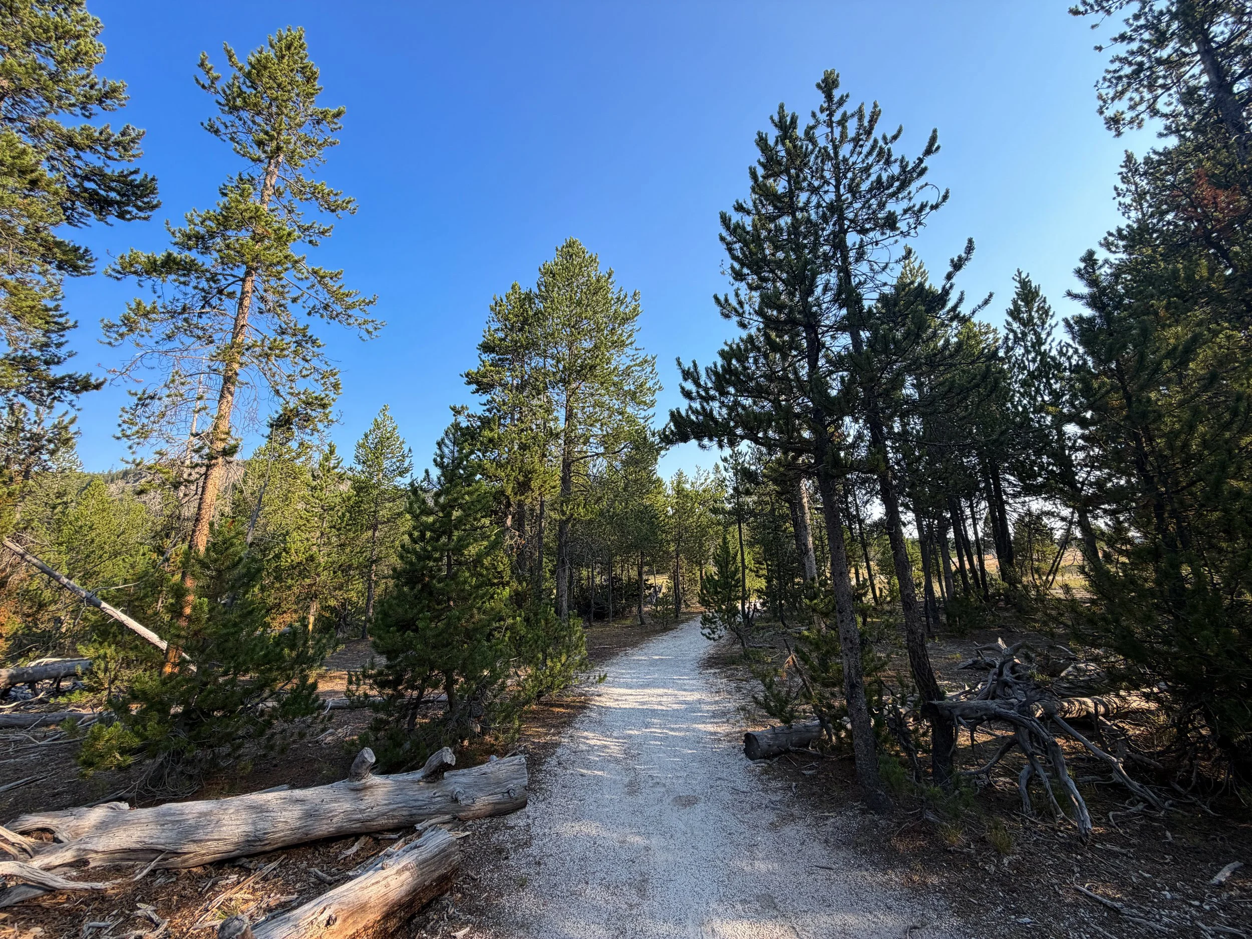 Mystic Falls Trail Yellowstone National Park Wyoming