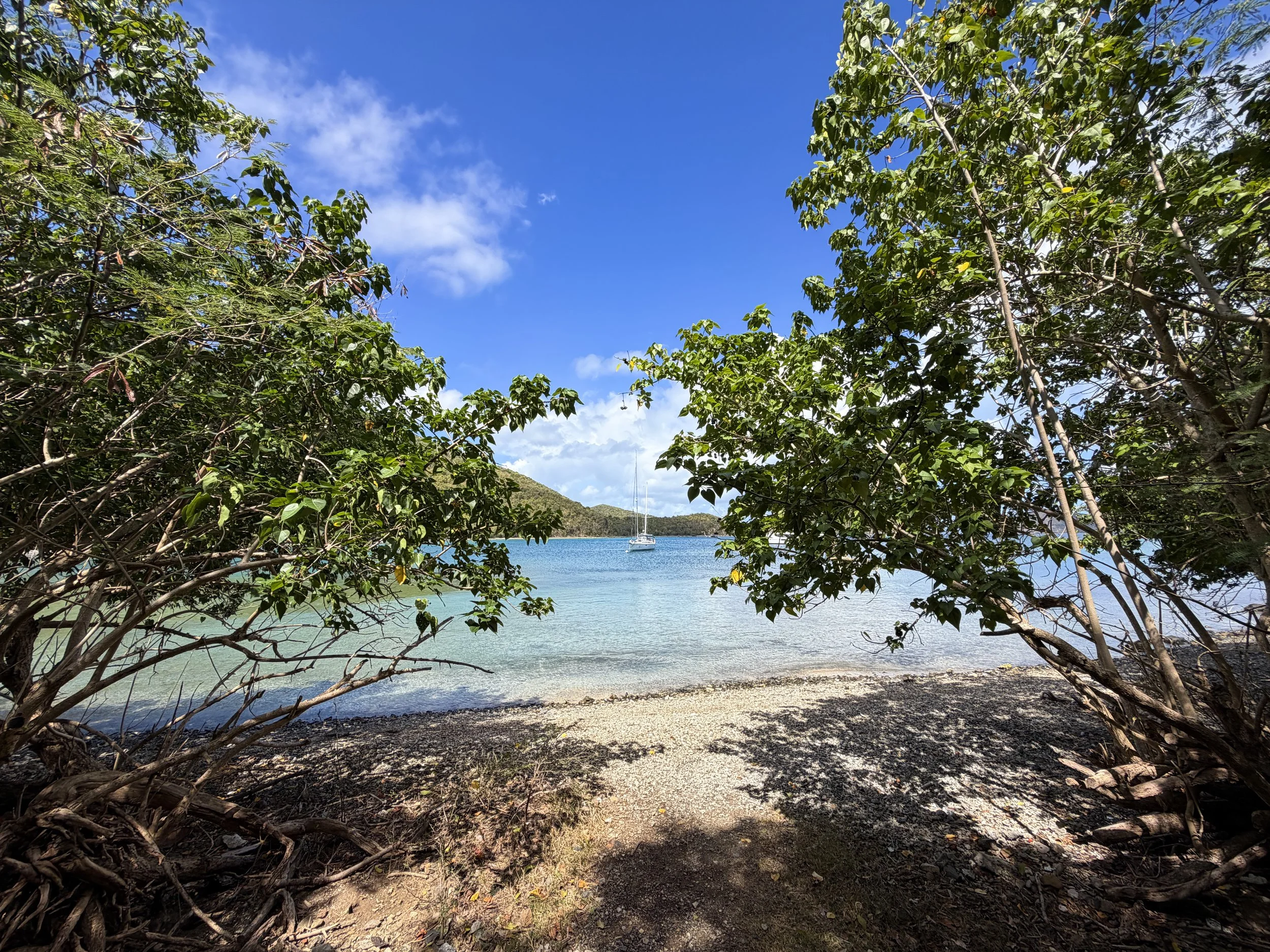 Johnny Horn Trailhead Virgin Islands National Park