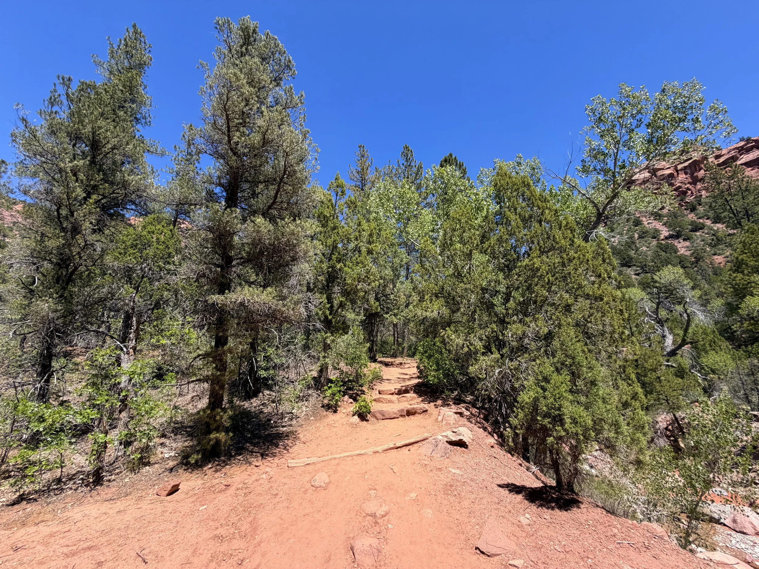 Taylor Creek Trail Zion National Park Utah