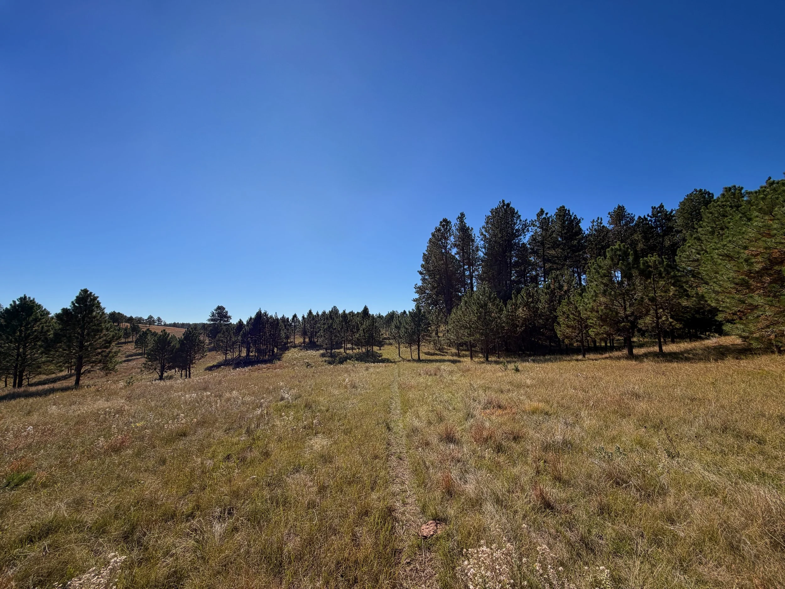 Sanctuary Hike Wind Cave National Park South Dakota