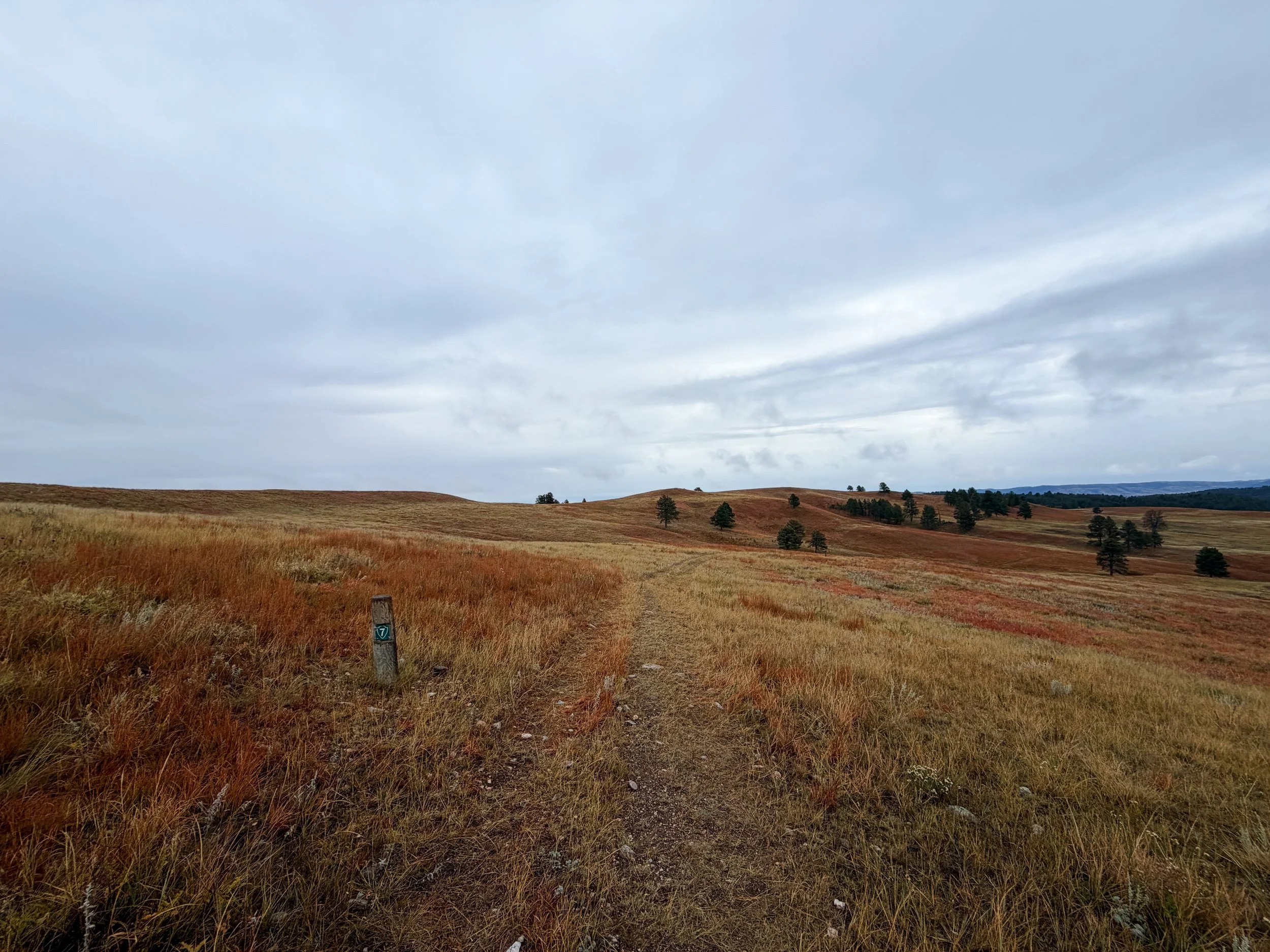 Highland Creek Trail Wind Cave National Park South Dakota