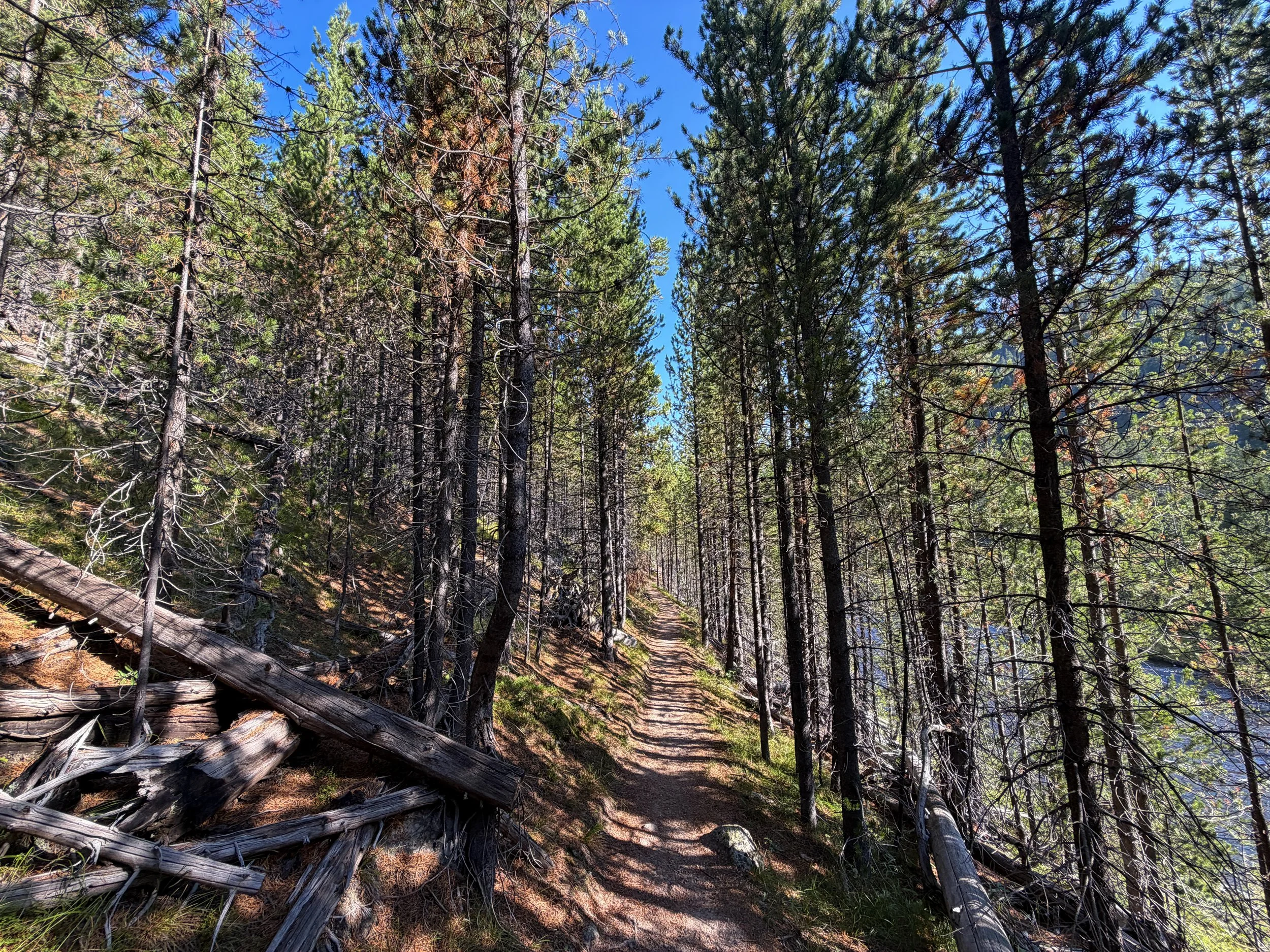 Monument Geyser Basin Trail Yellowstone National Park Wyoming