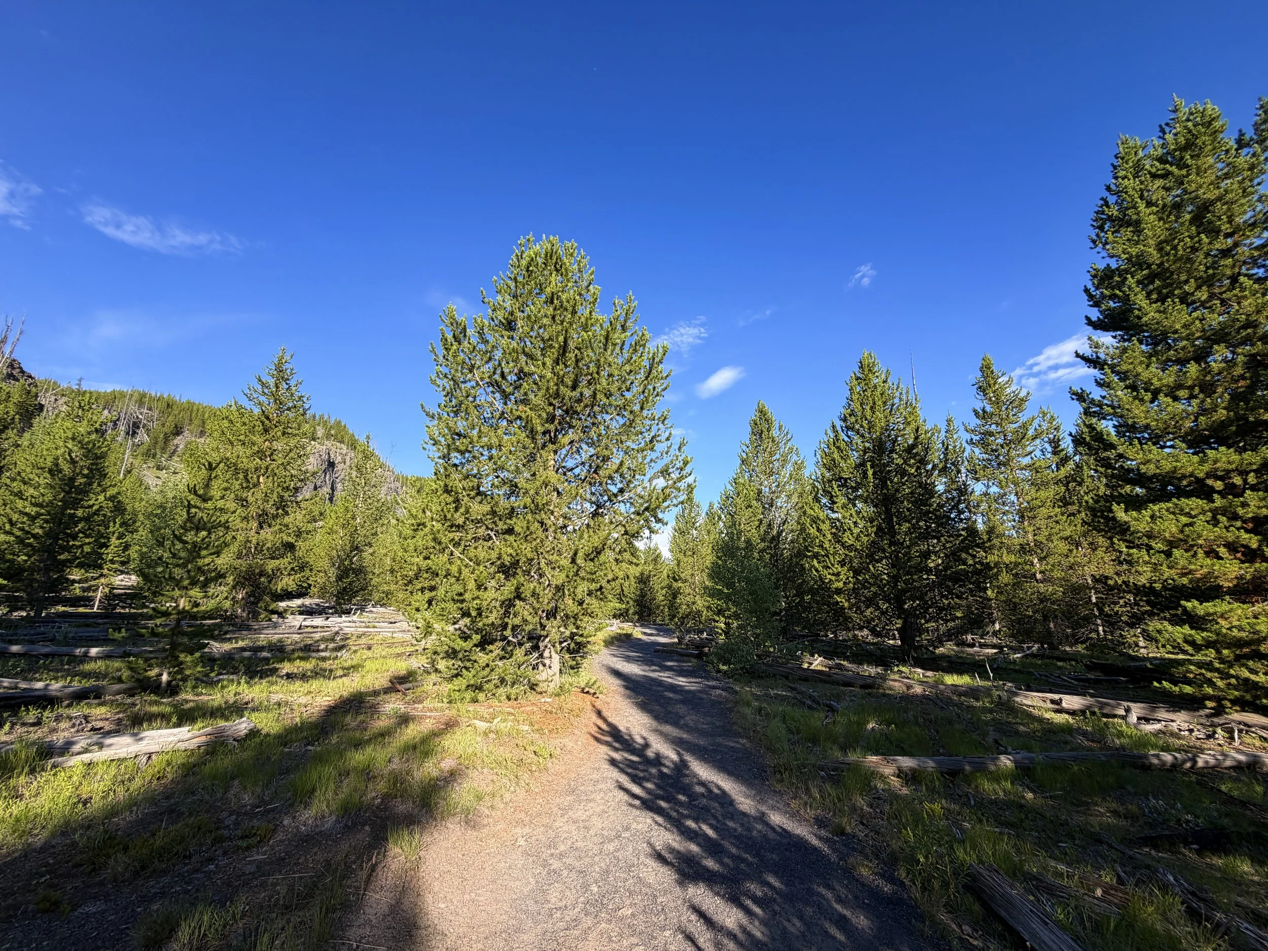 Fairy Falls Trail Yellowstone National Park Wyoming