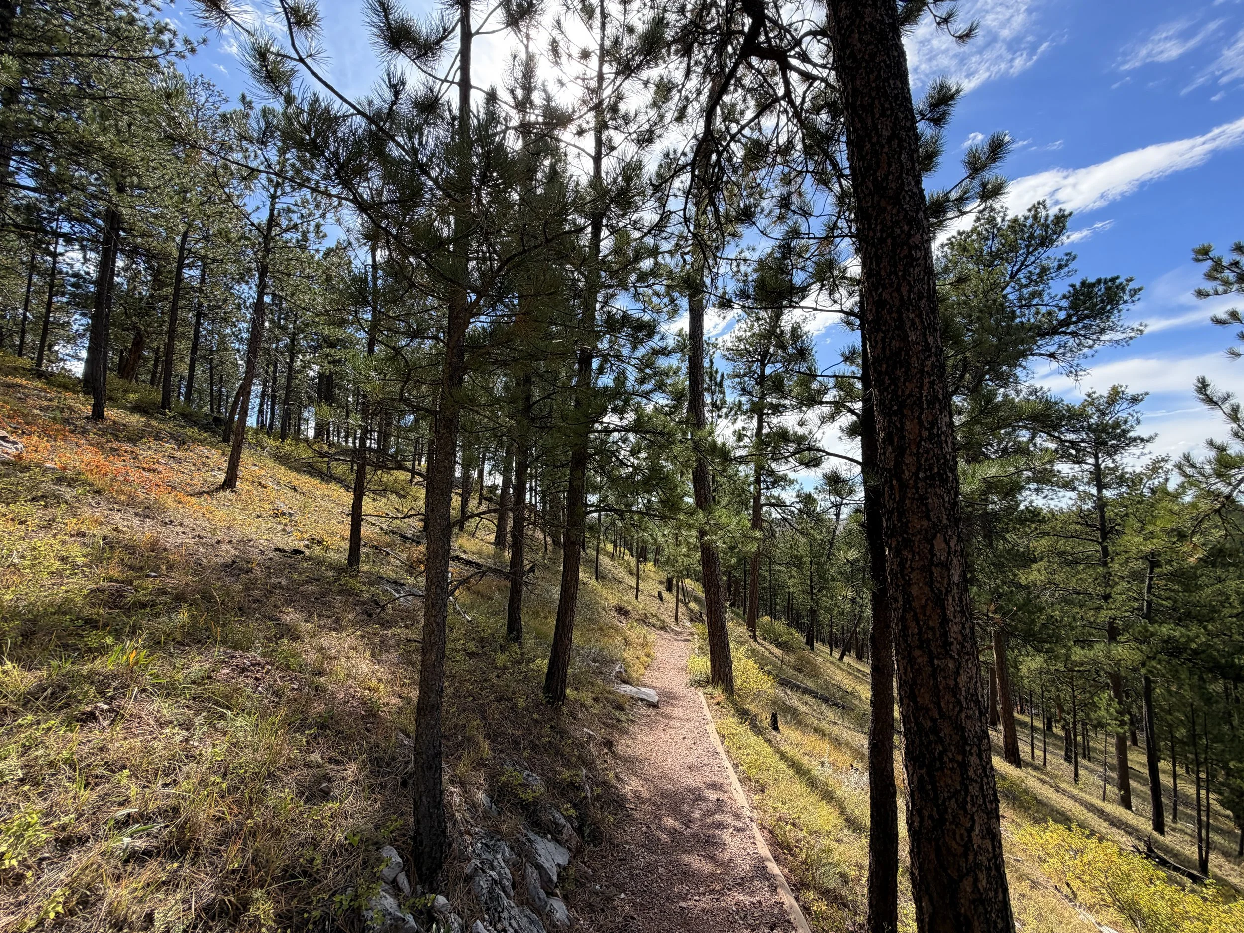 Canyons Trail Switchbacks Jewel Cave National Monument Black Hills South Dakota