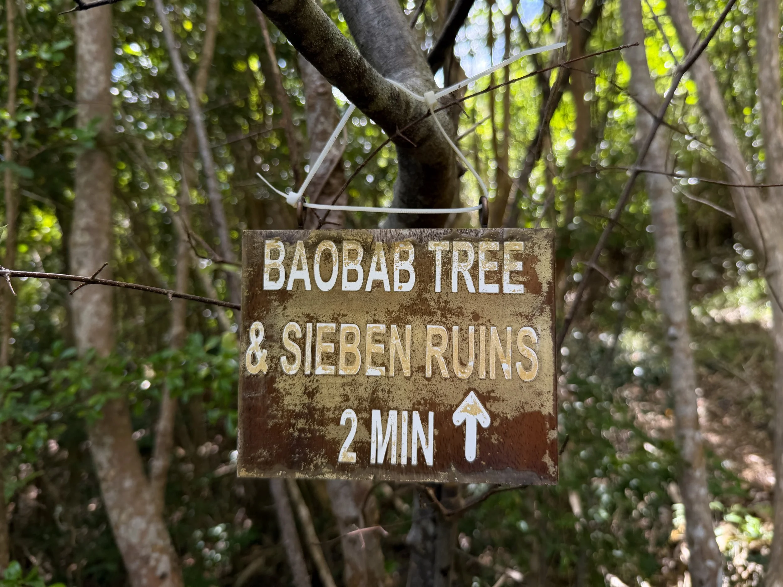 Great Sieben Hike Virgin Islands National Park