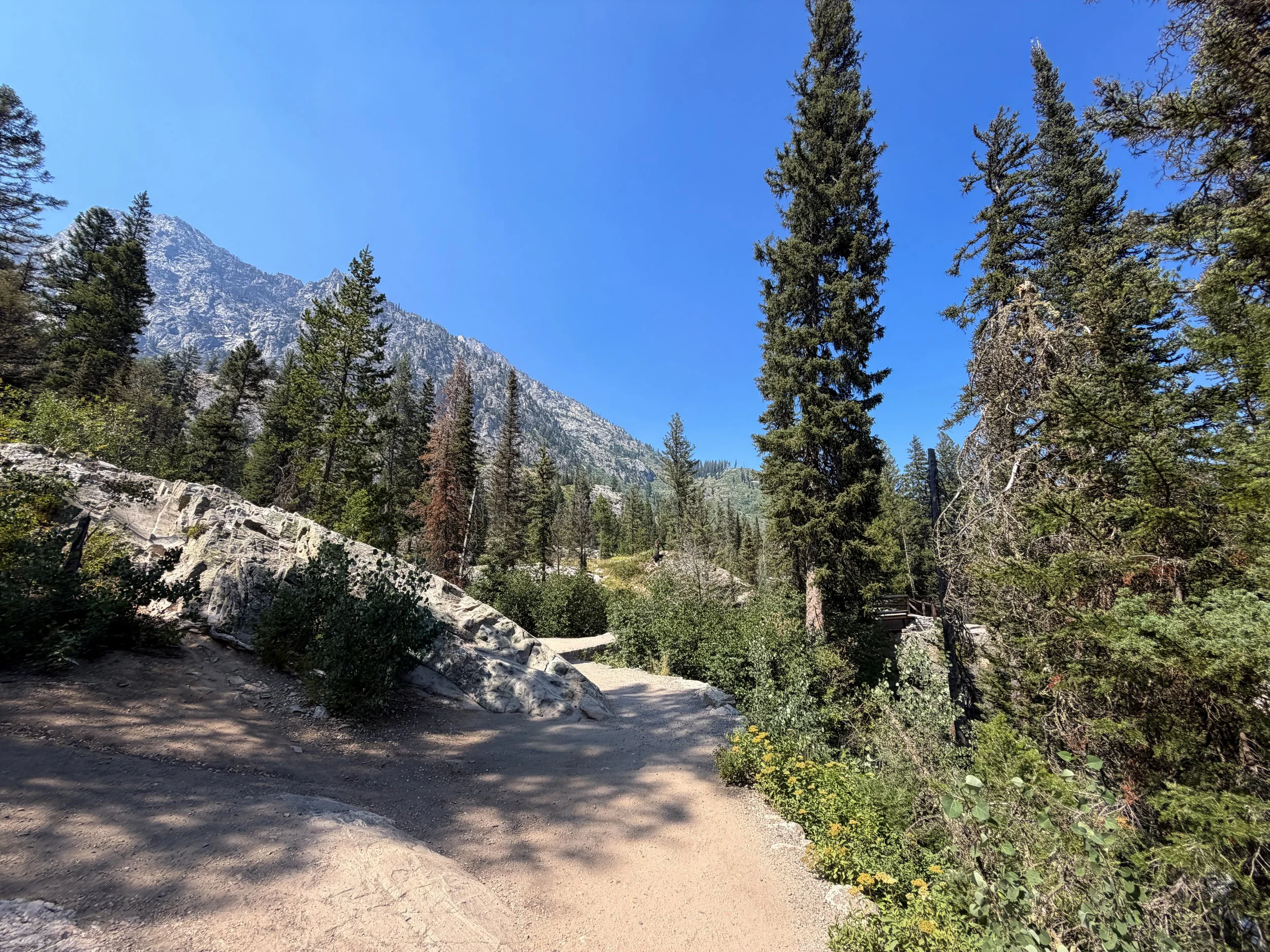 Jenny Lake Loop Trail Grand Teton National Park Wyoming