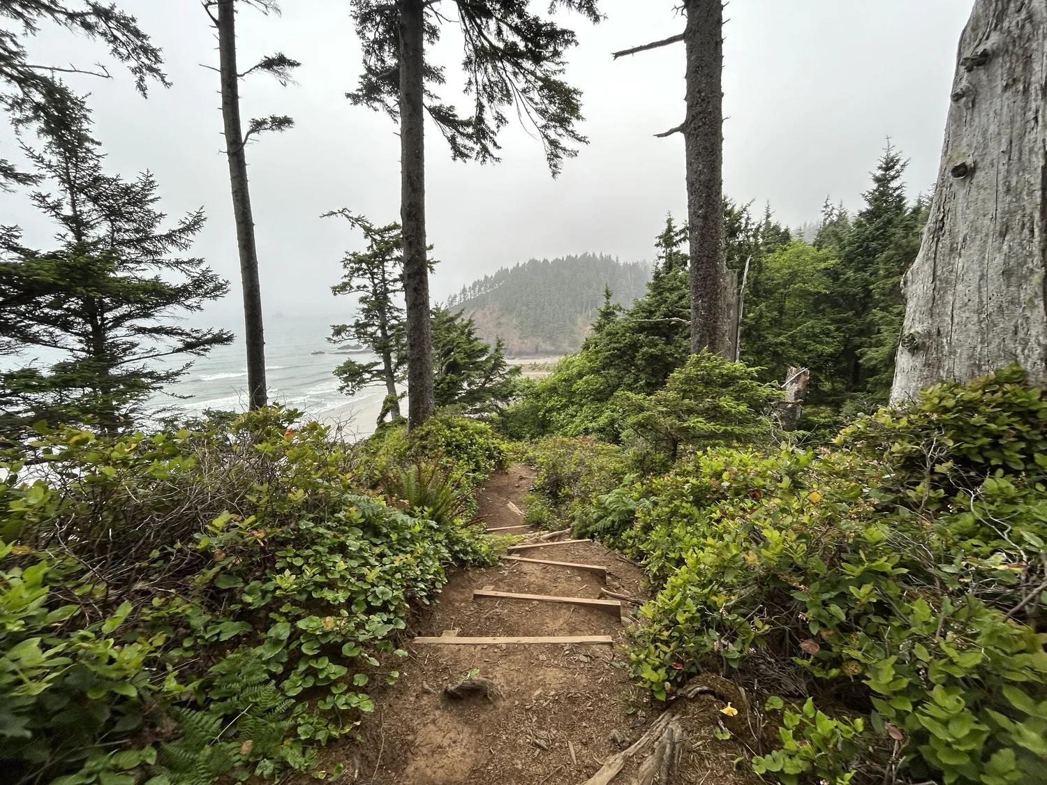 Hiking the Indian Beach Trail on the Oregon Coast — noahawaii
