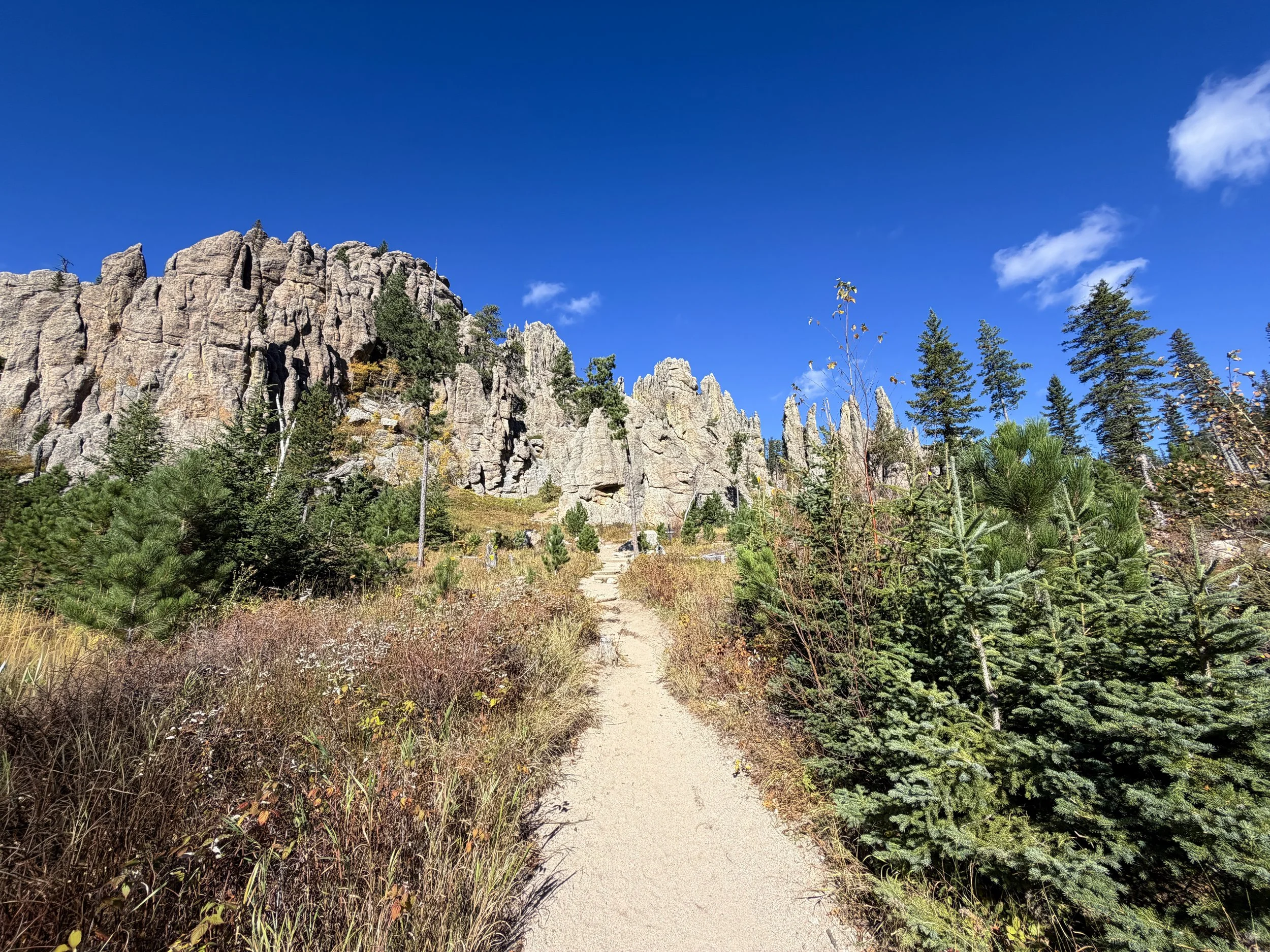 Cathedral Spires Trail Custer State Park Black Hills South Dakota