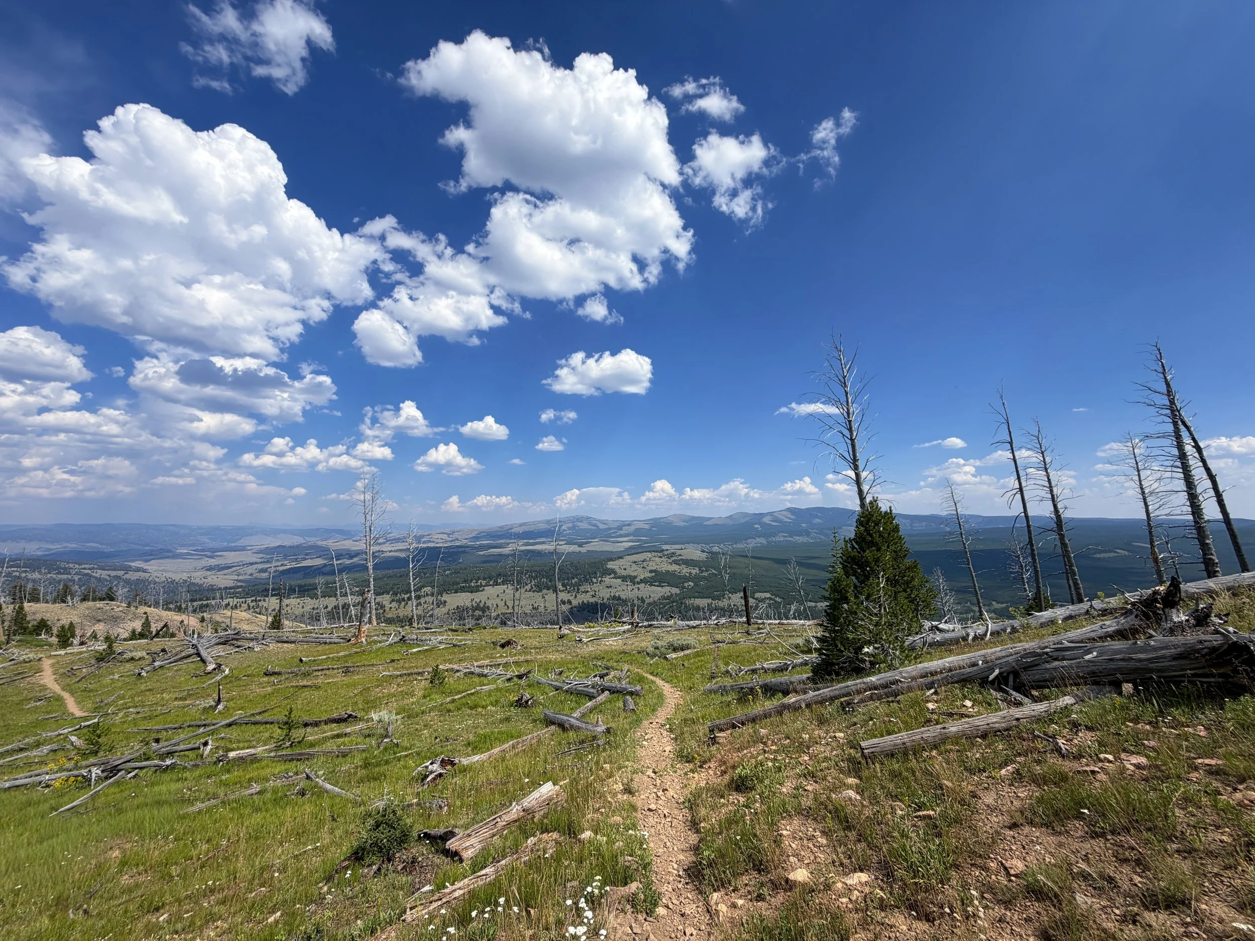 Bunsen Peak Trail to Osprey Falls Yellowstone National Park Wyoming