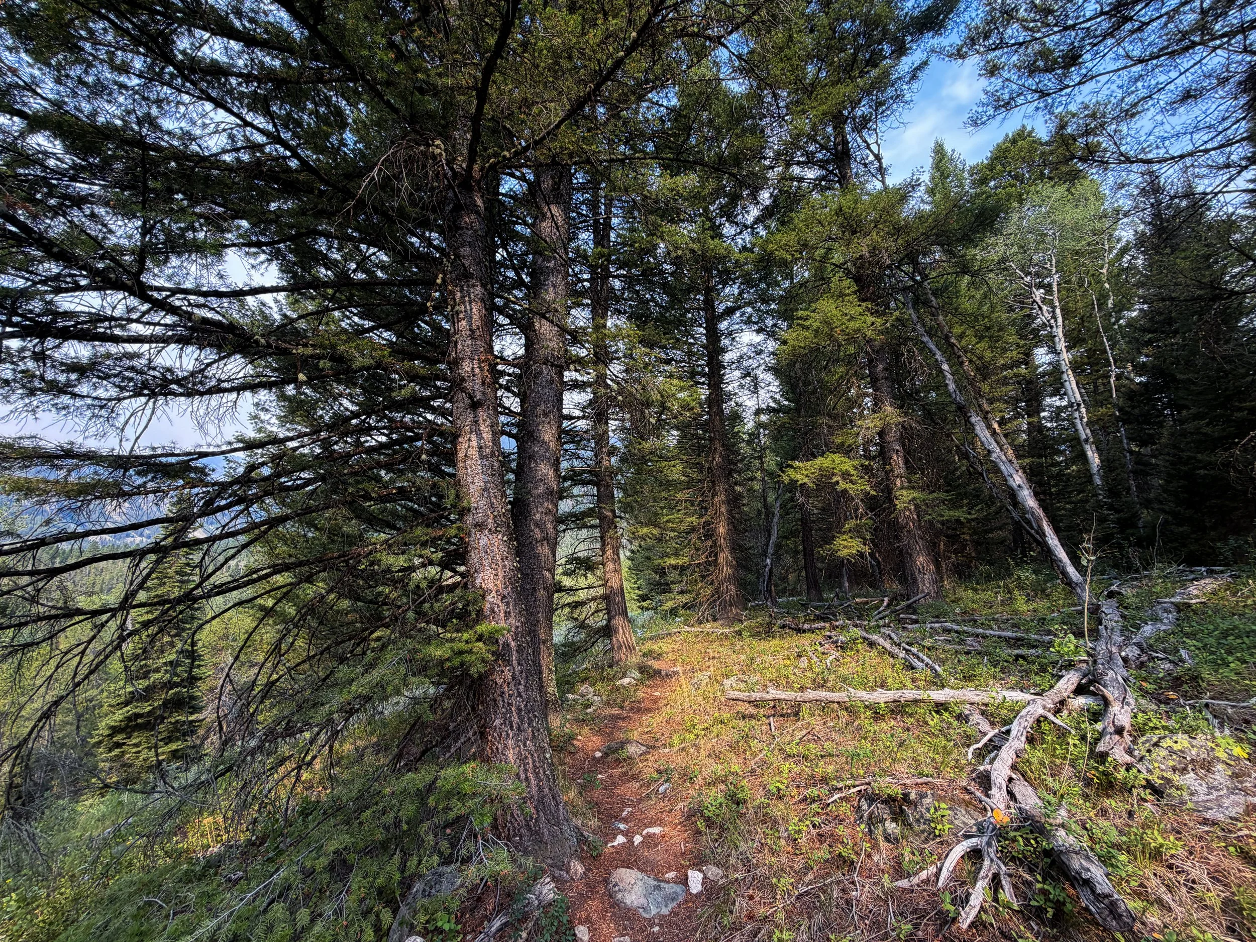 Boulder–Aspen Ridge Loop Trail Grand Teton National Park Wyoming