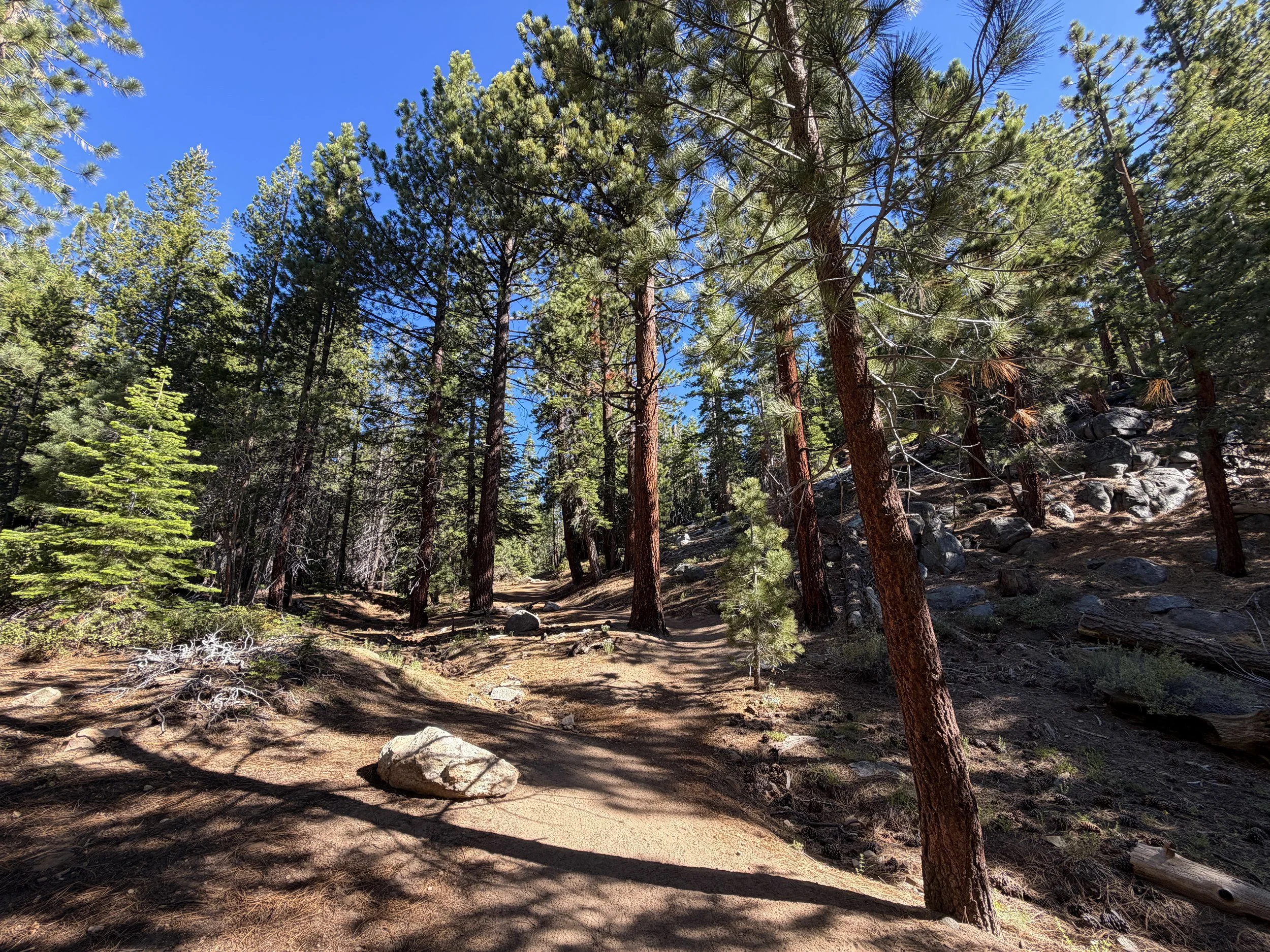 Castle Rock Trail Lake Tahoe Nevada
