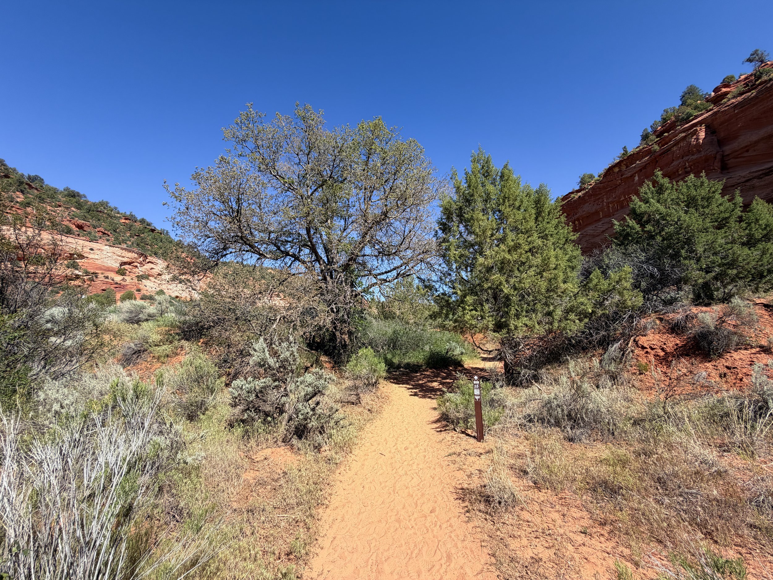 Moqui Sand Caves Hike Kanab Utah
