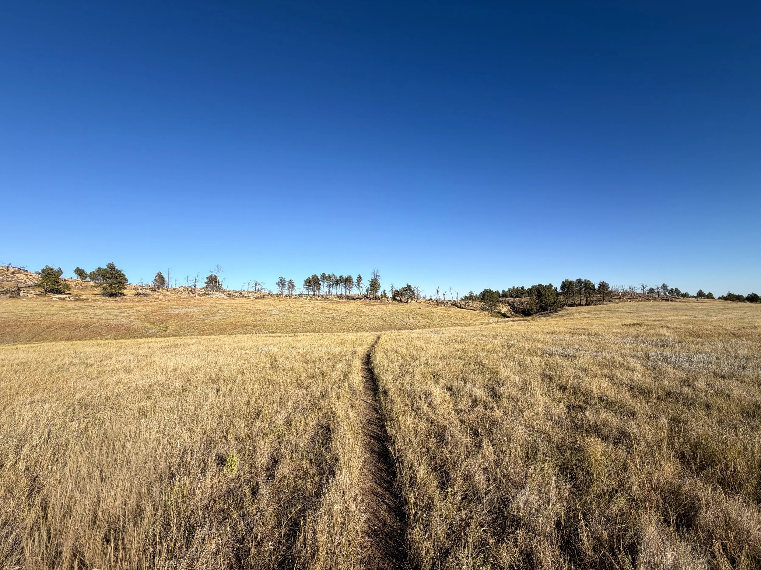 Boland Ridge Trail Wind Cave National Park South Dakota