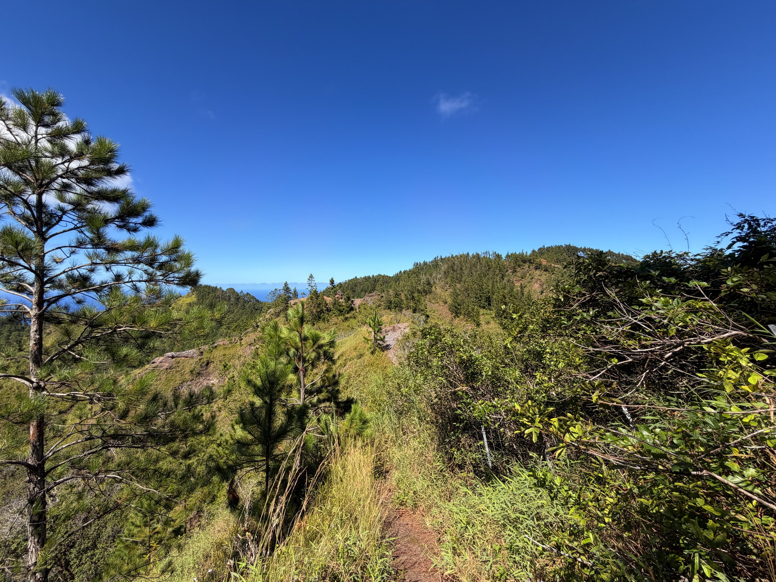 Kuaokala Hike Oahu Hawaii